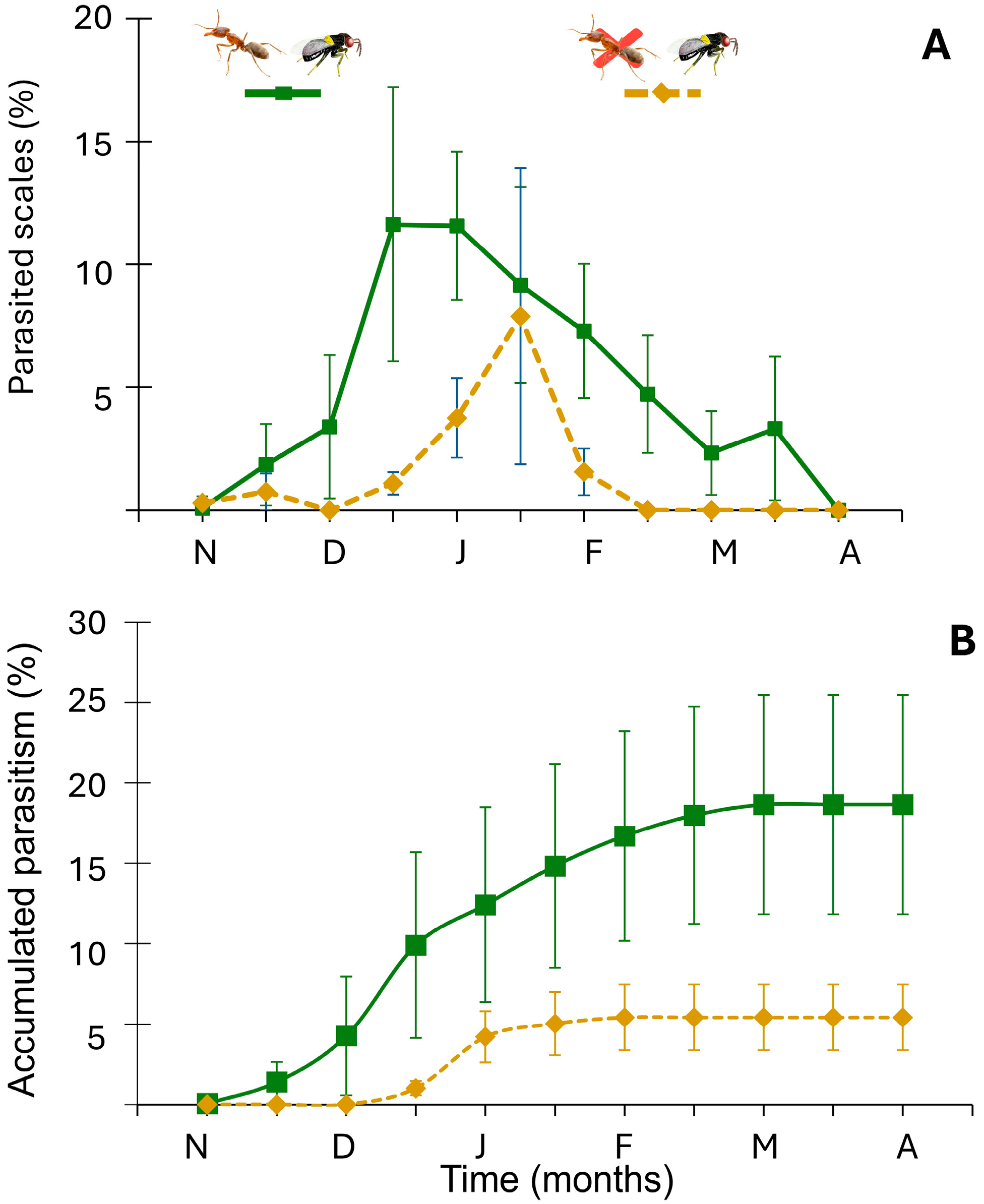 Insects 16 01002 g002 Insects 16 01002 g002