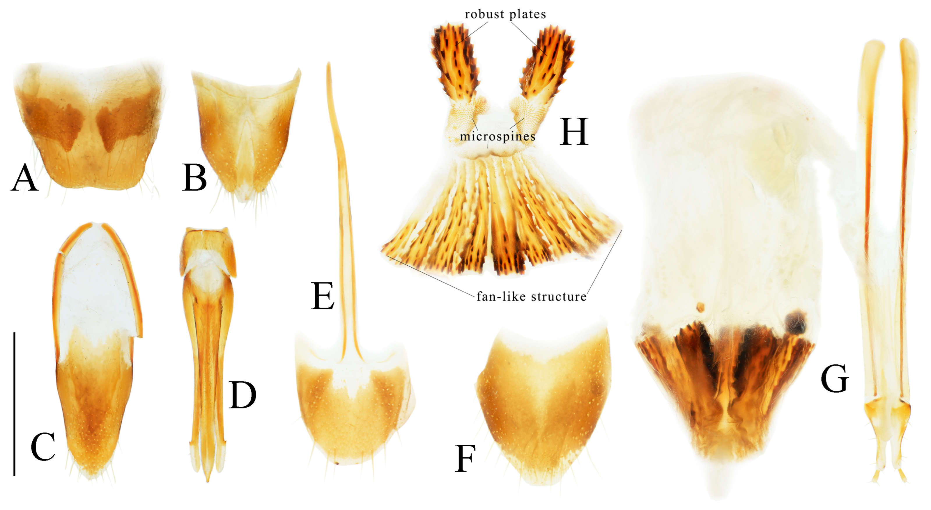 Insects 16 01003 g004