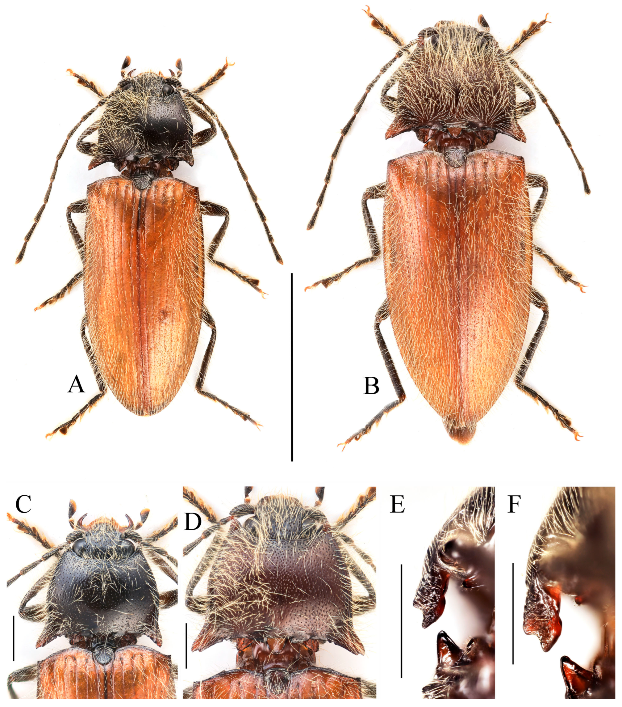 Insects 16 01003 g005