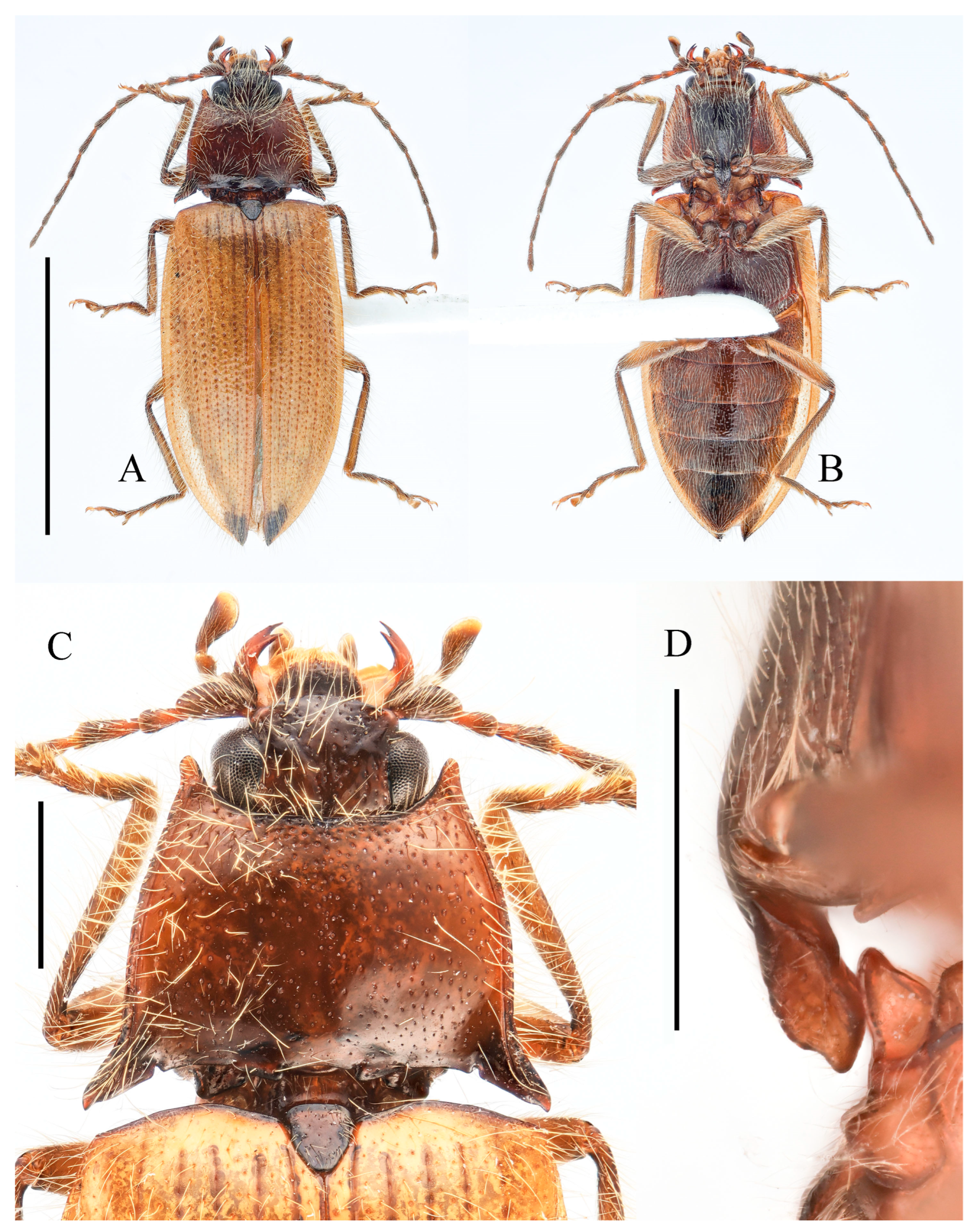 Insects 16 01003 g007