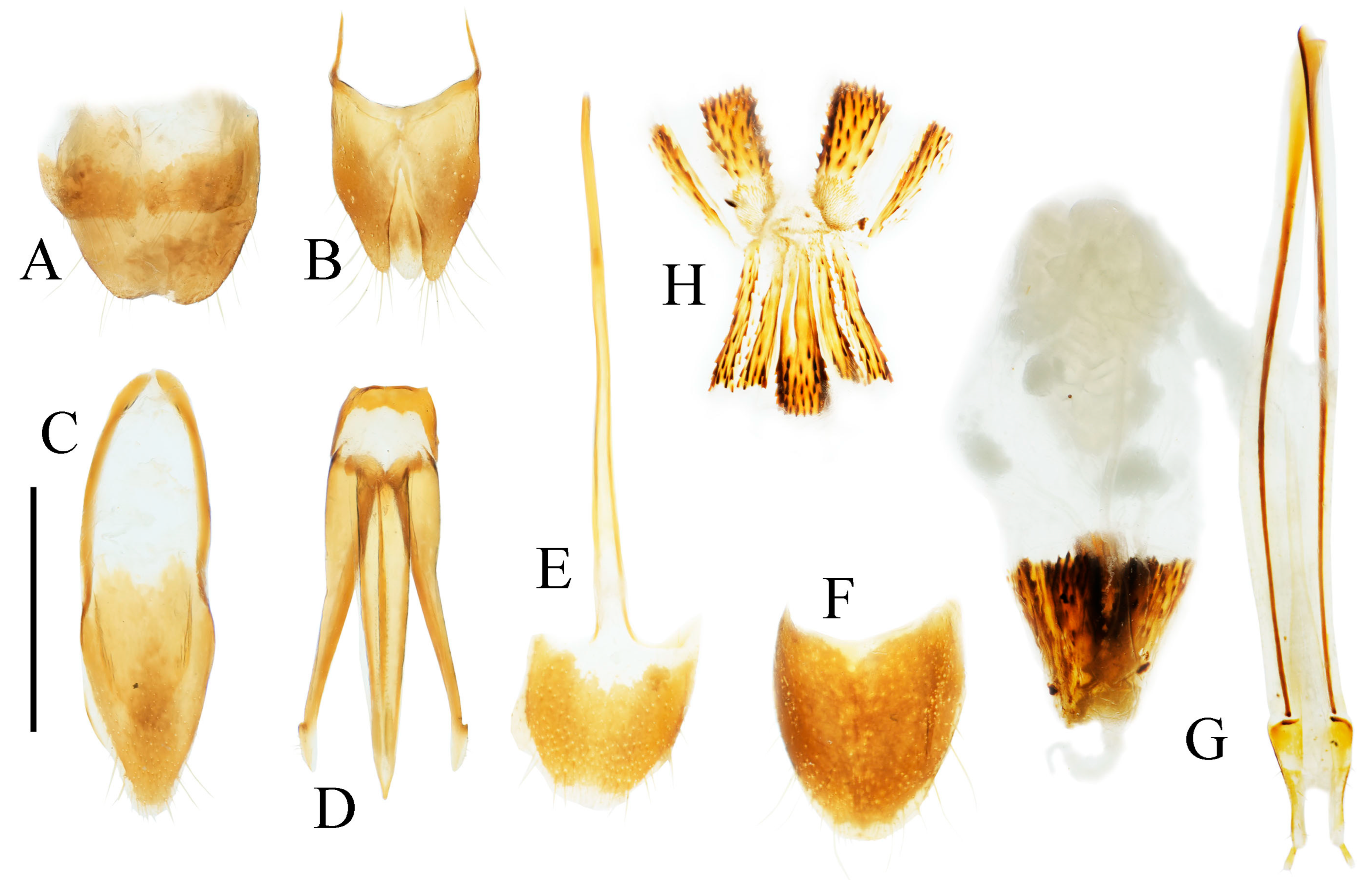 Insects 16 01003 g008