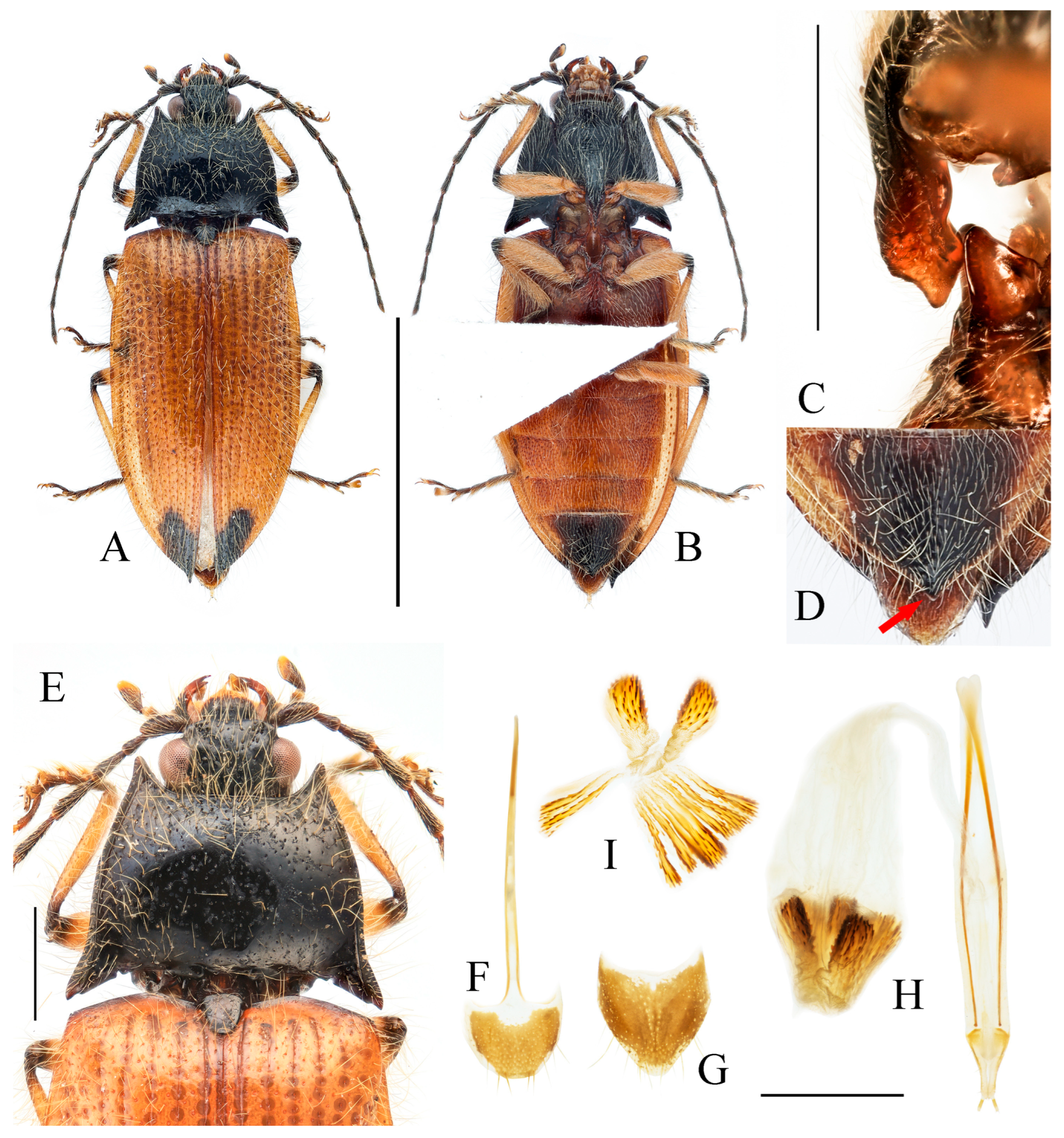 Insects 16 01003 g009