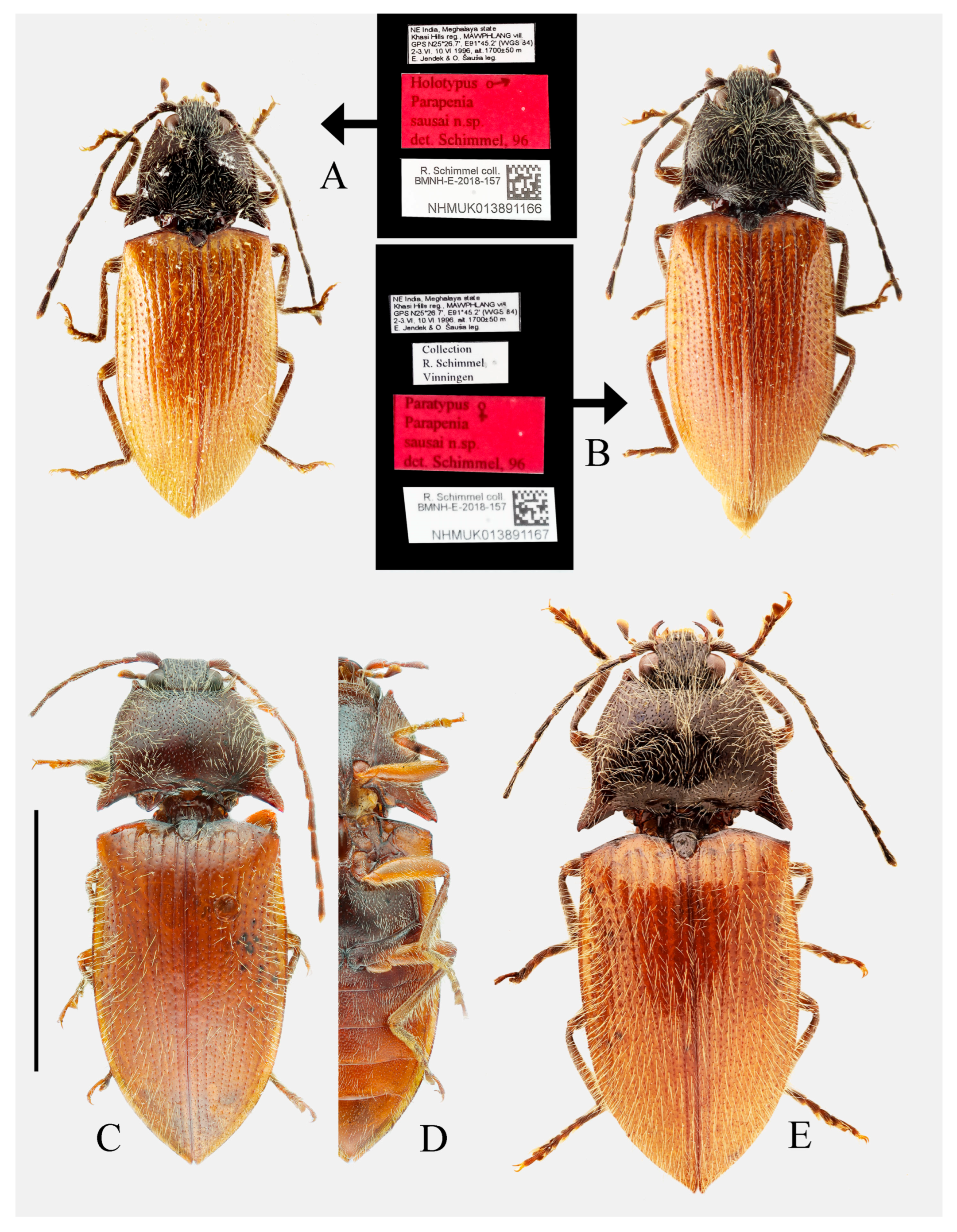 Insects 16 01003 g010