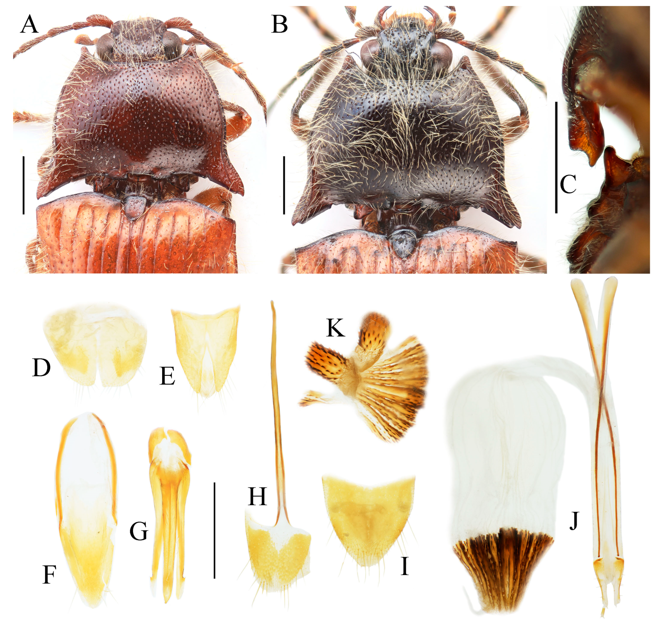 Insects 16 01003 g011