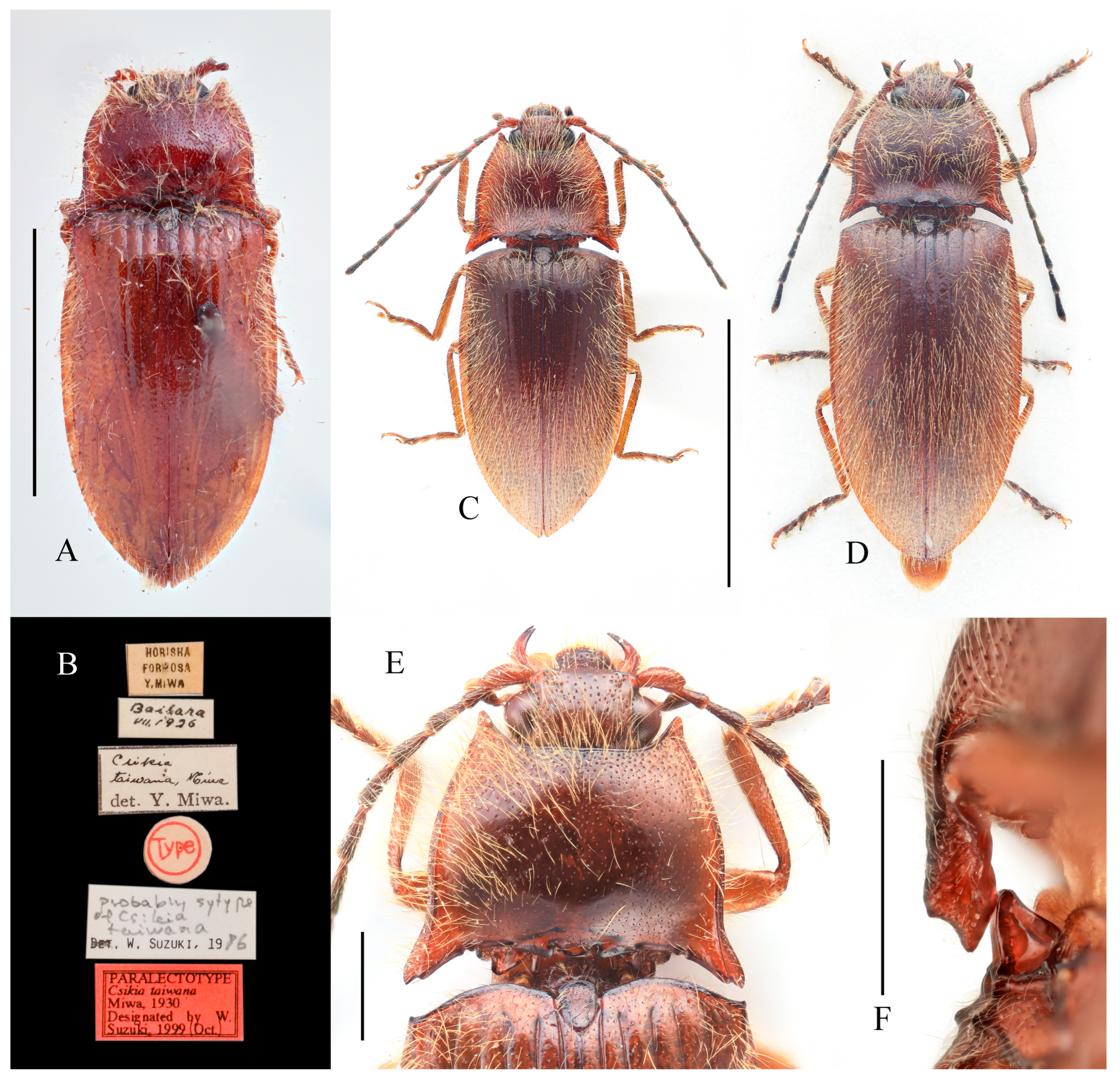 Insects 16 01003 g012