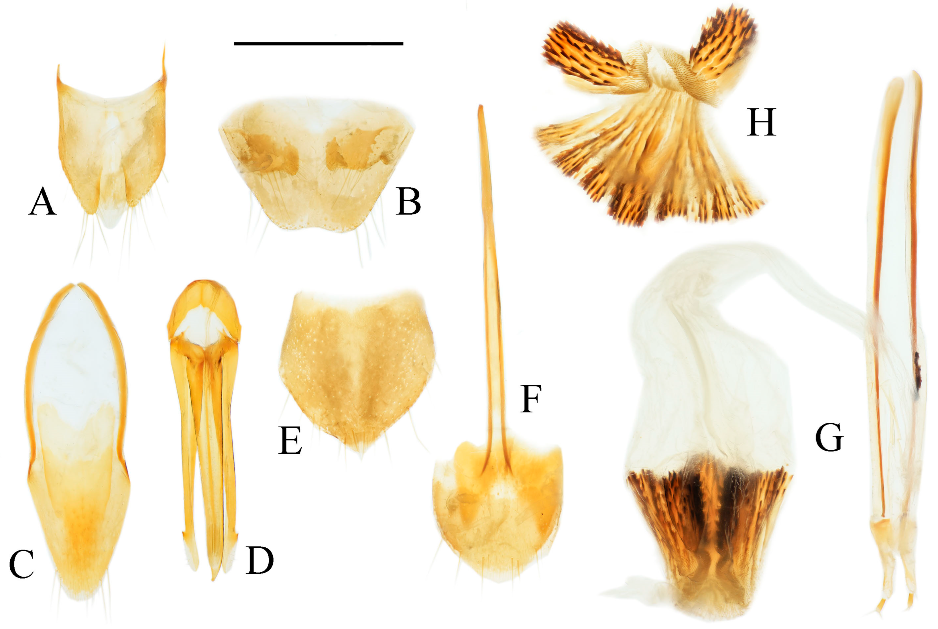 Insects 16 01003 g013