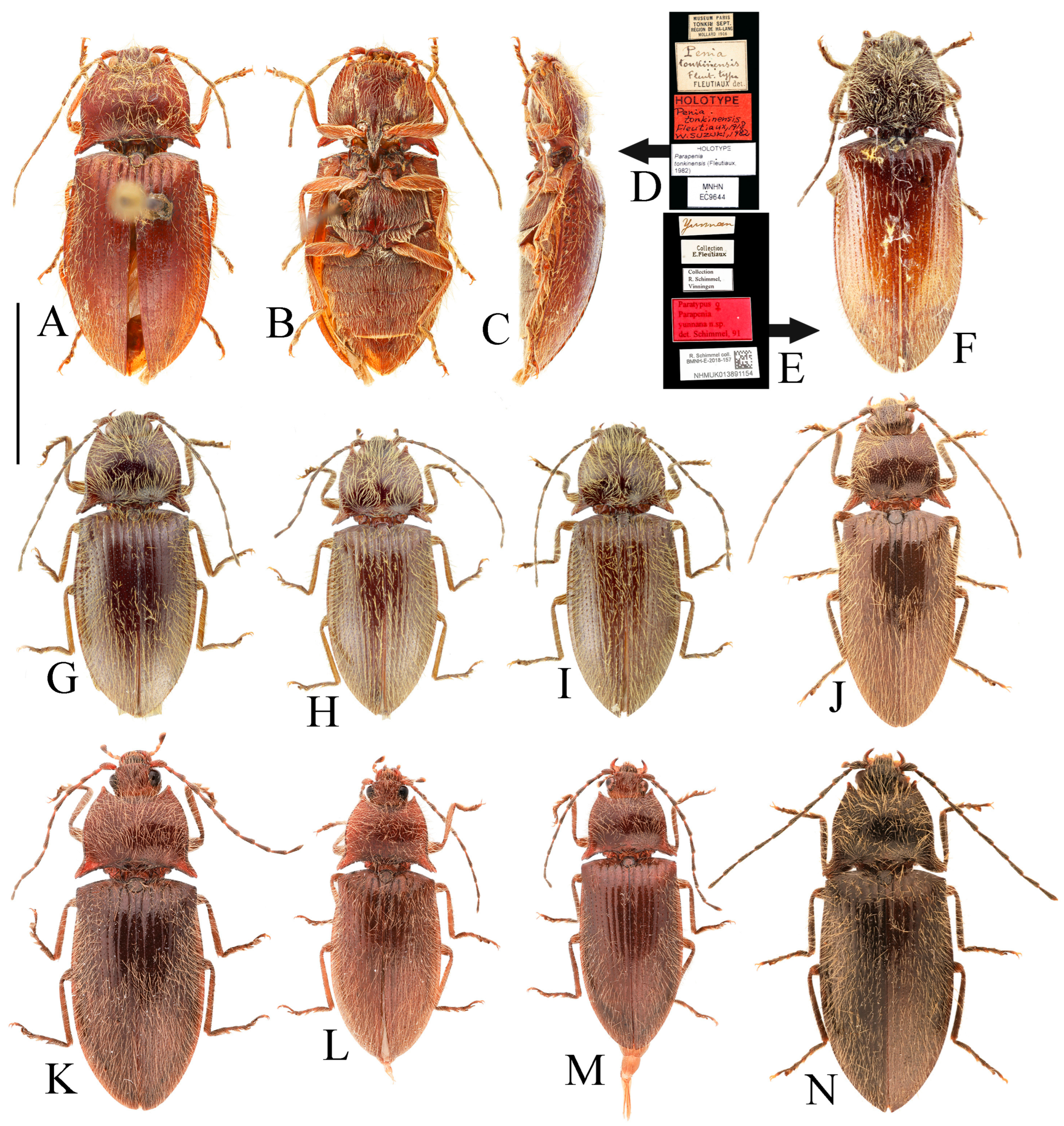 Insects 16 01003 g014