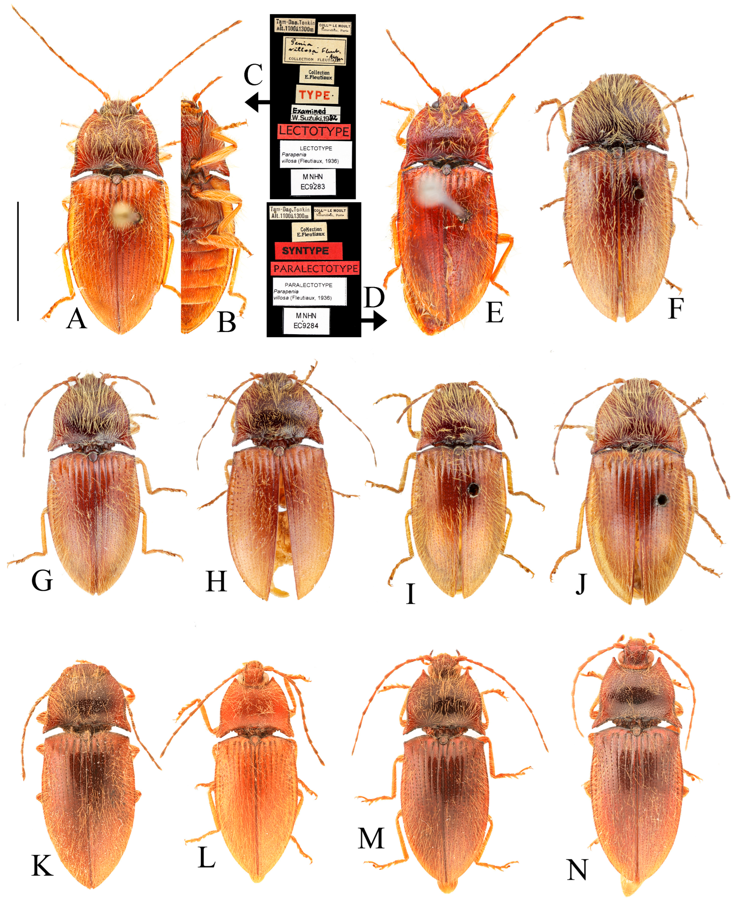 Insects 16 01003 g017