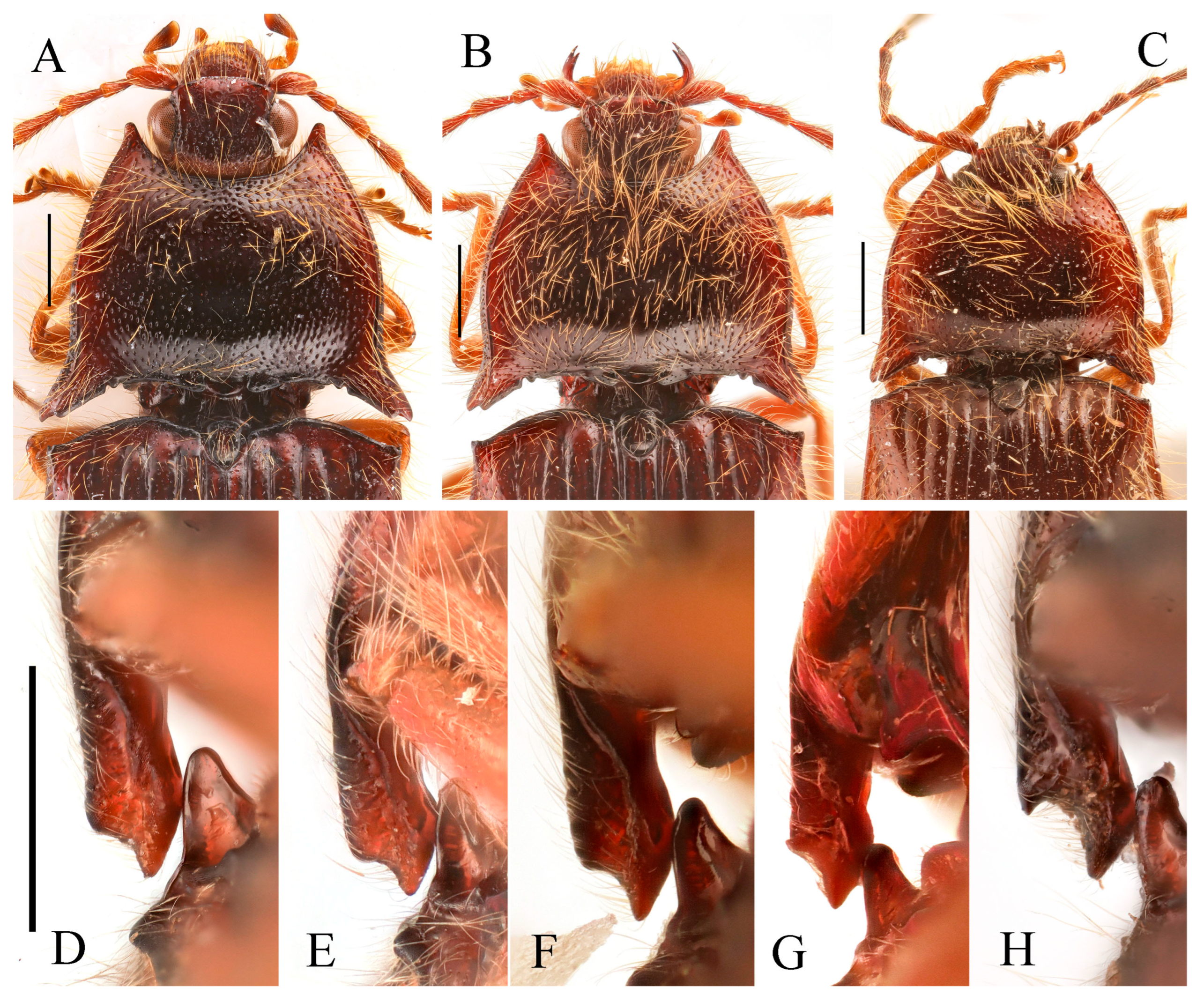 Insects 16 01003 g018