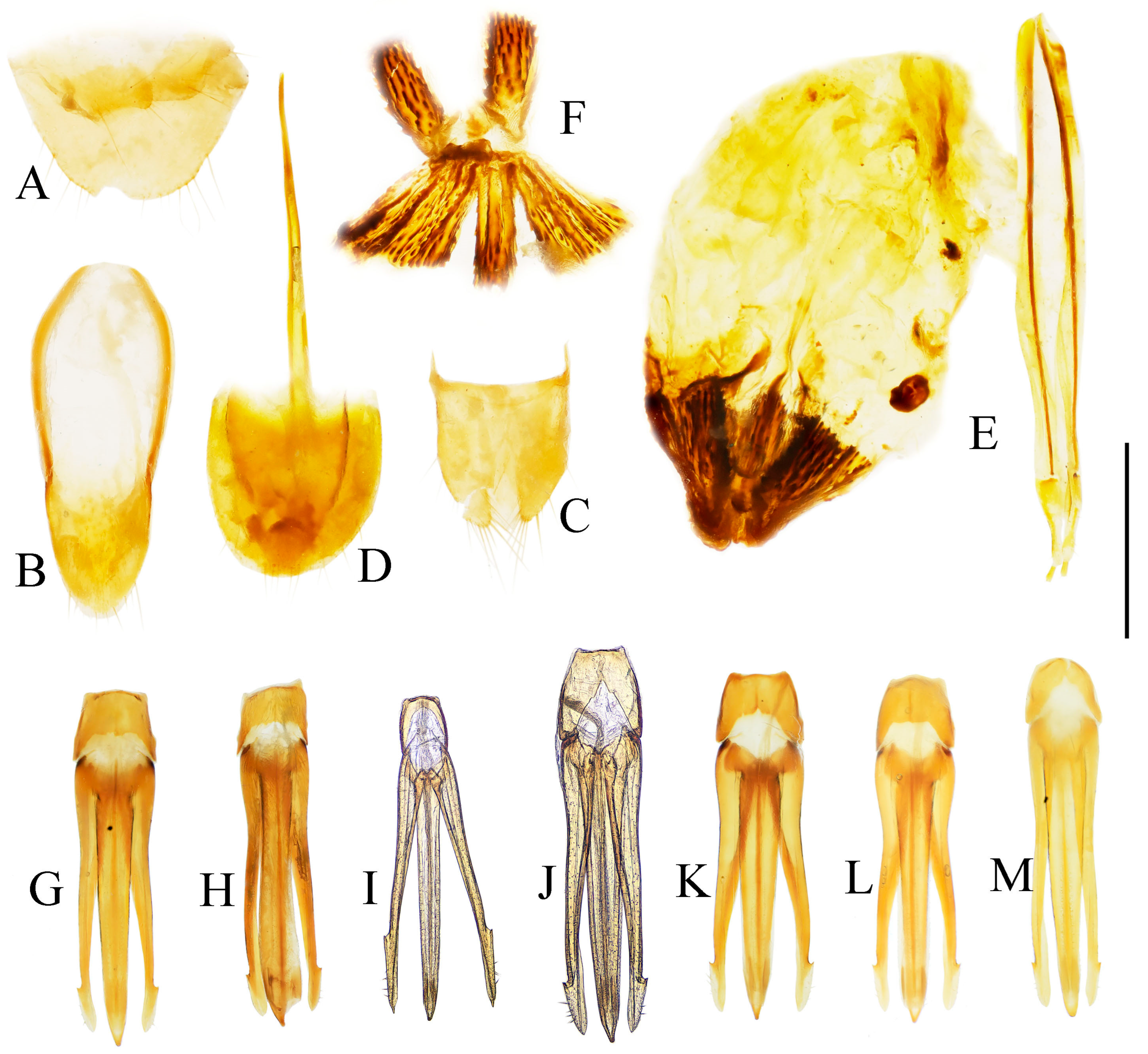 Insects 16 01003 g019