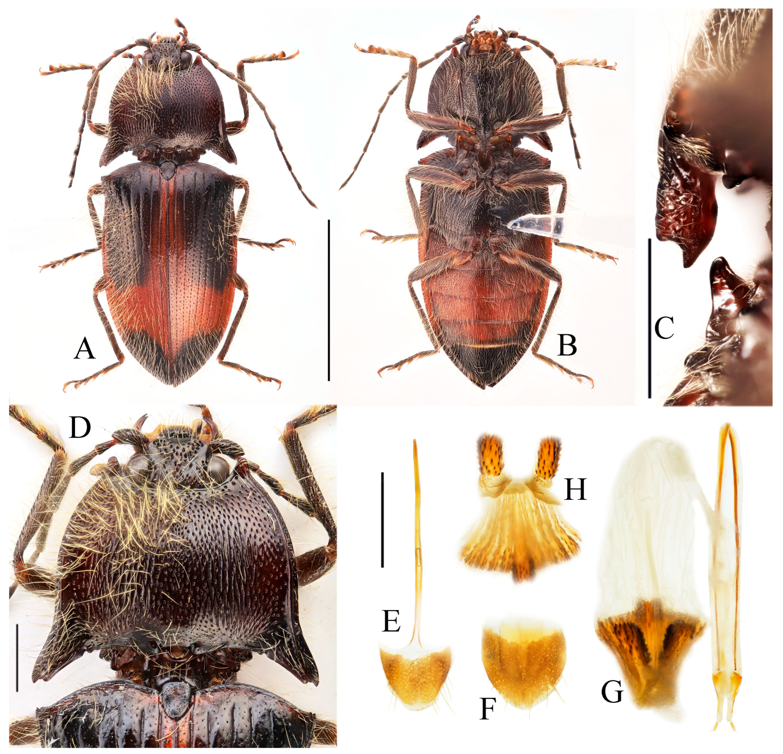 Insects 16 01003 g020