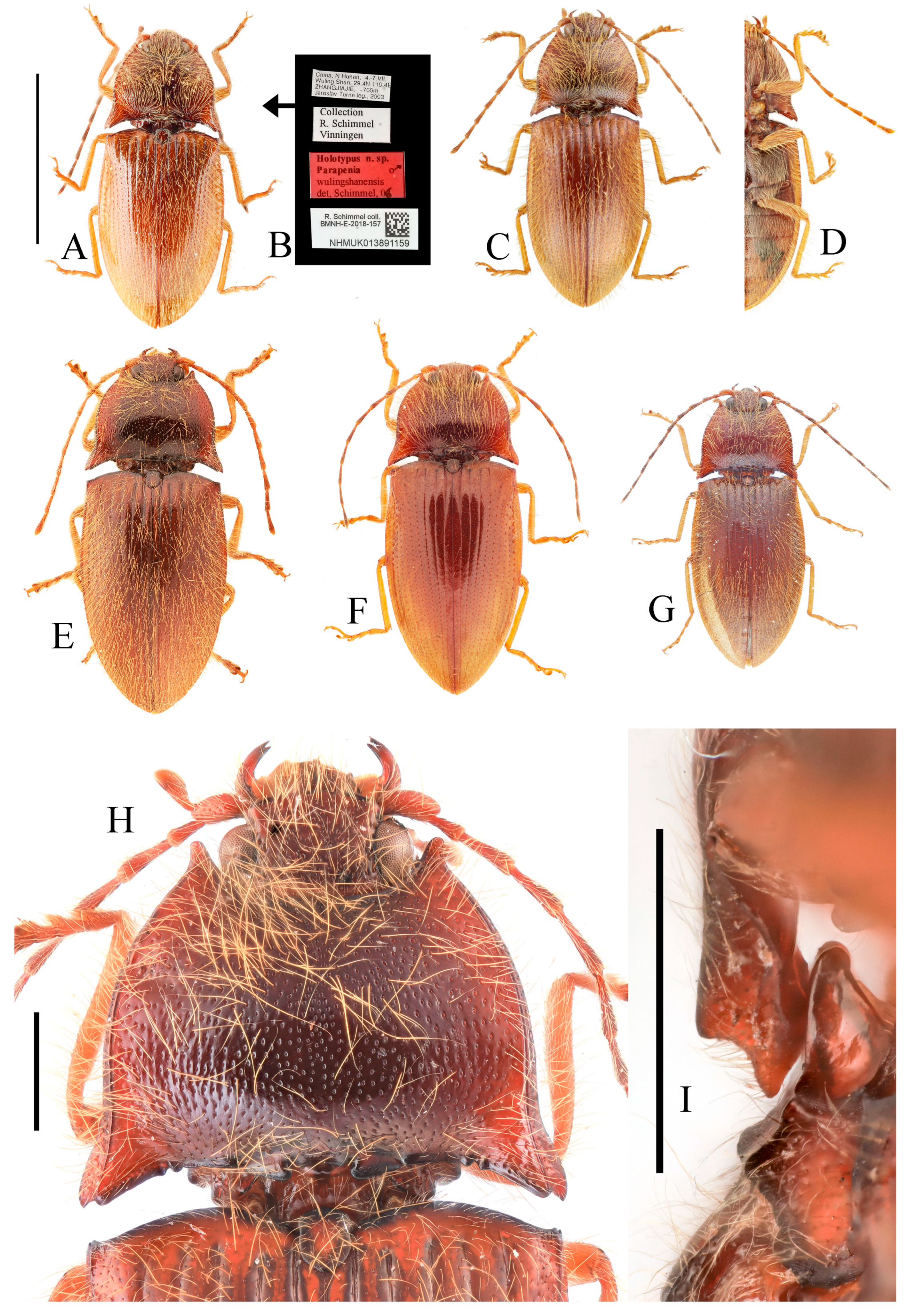 Insects 16 01003 g021