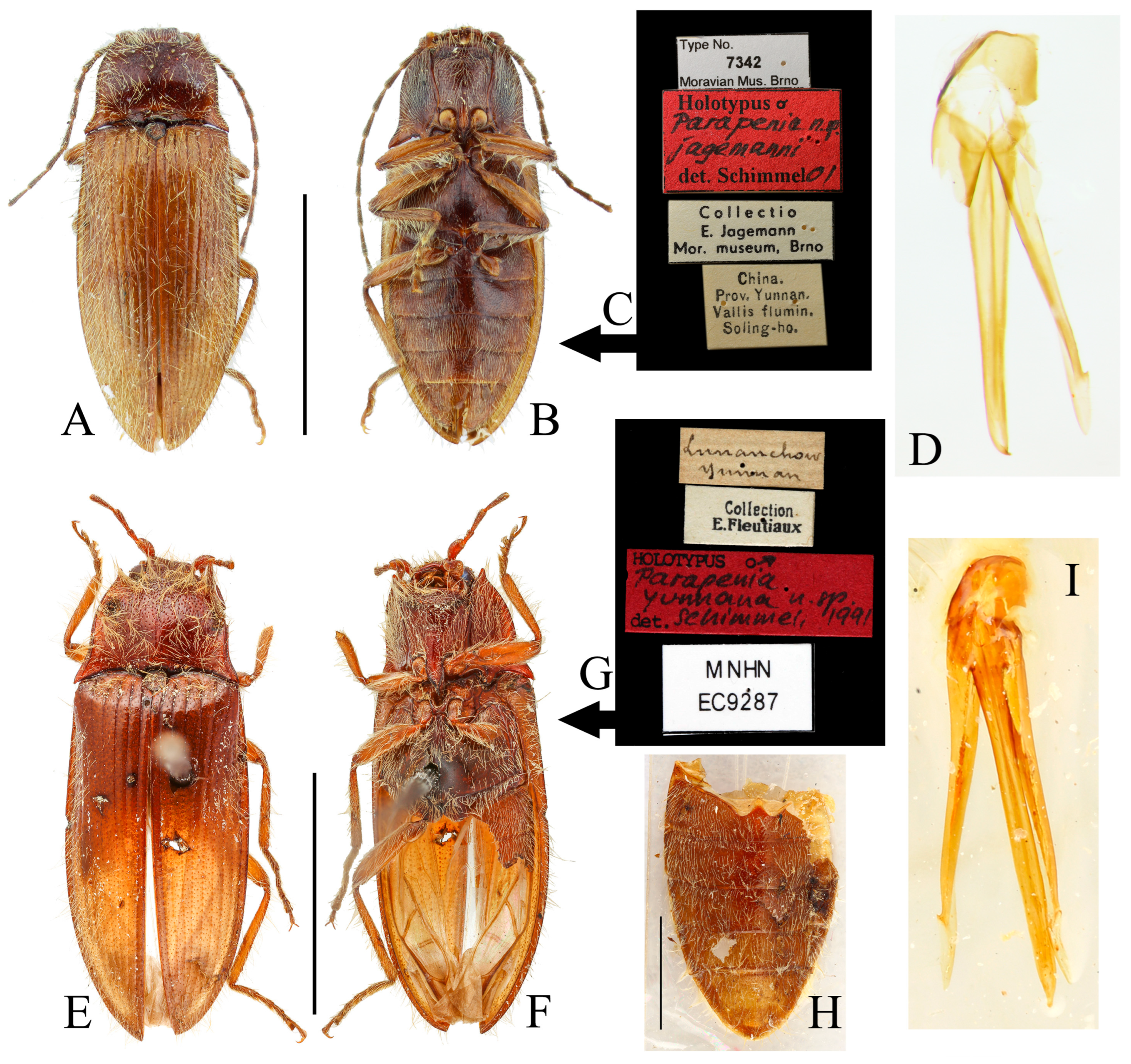 Insects 16 01003 g023