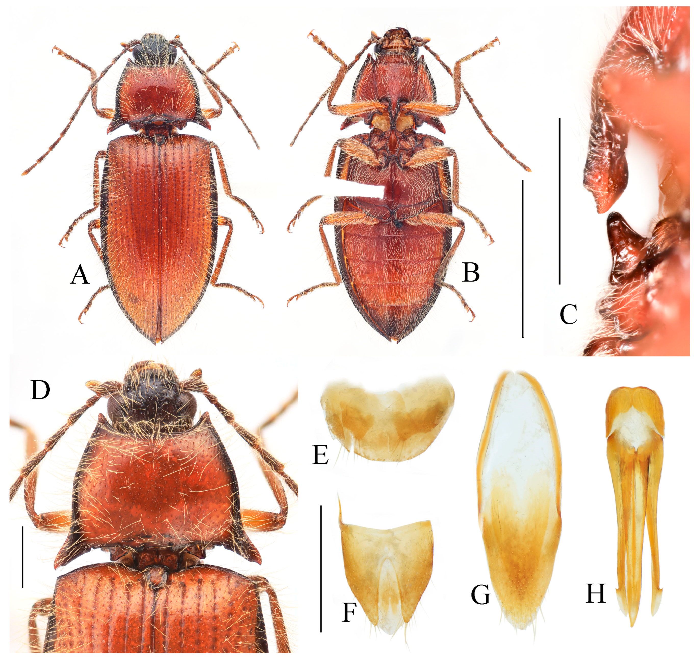 Insects 16 01003 g024