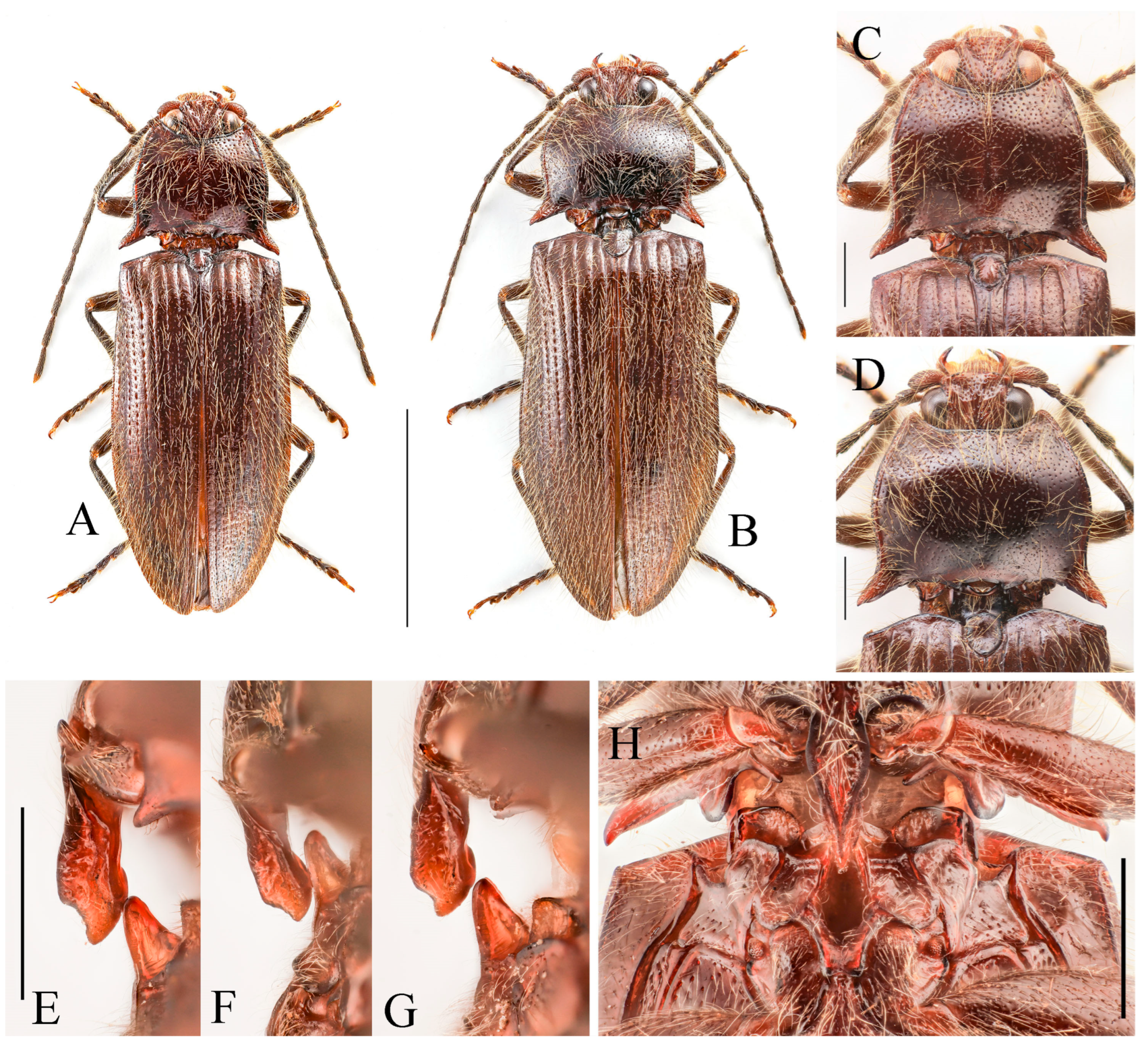 Insects 16 01003 g026