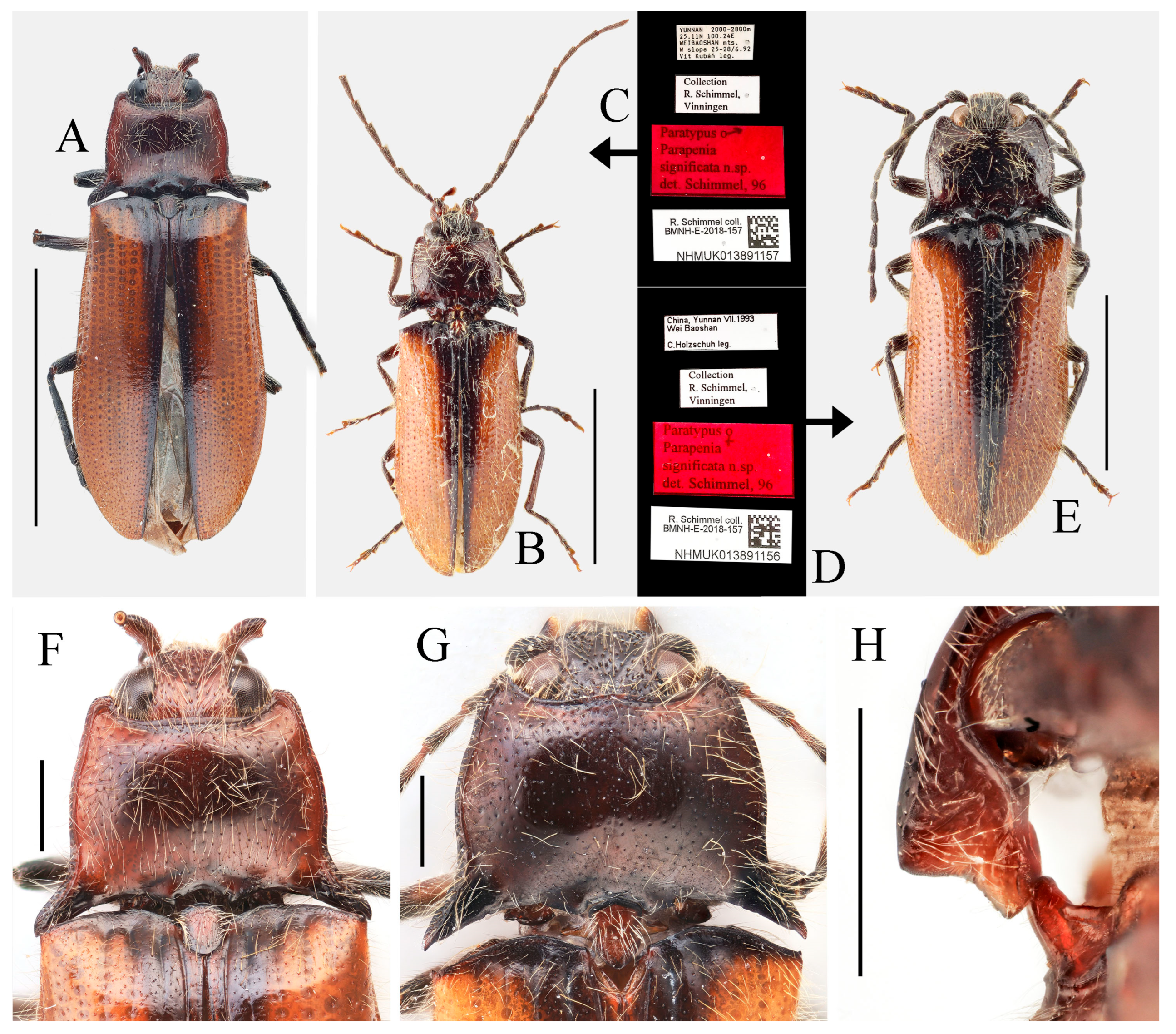 Insects 16 01003 g028