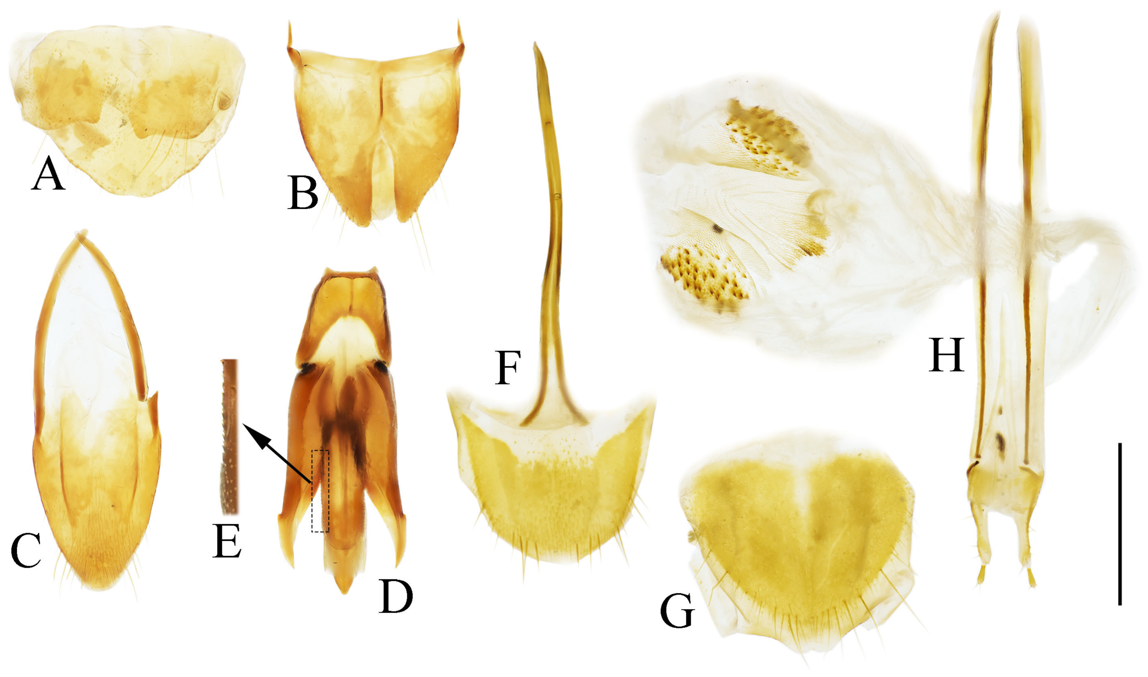 Insects 16 01003 g029