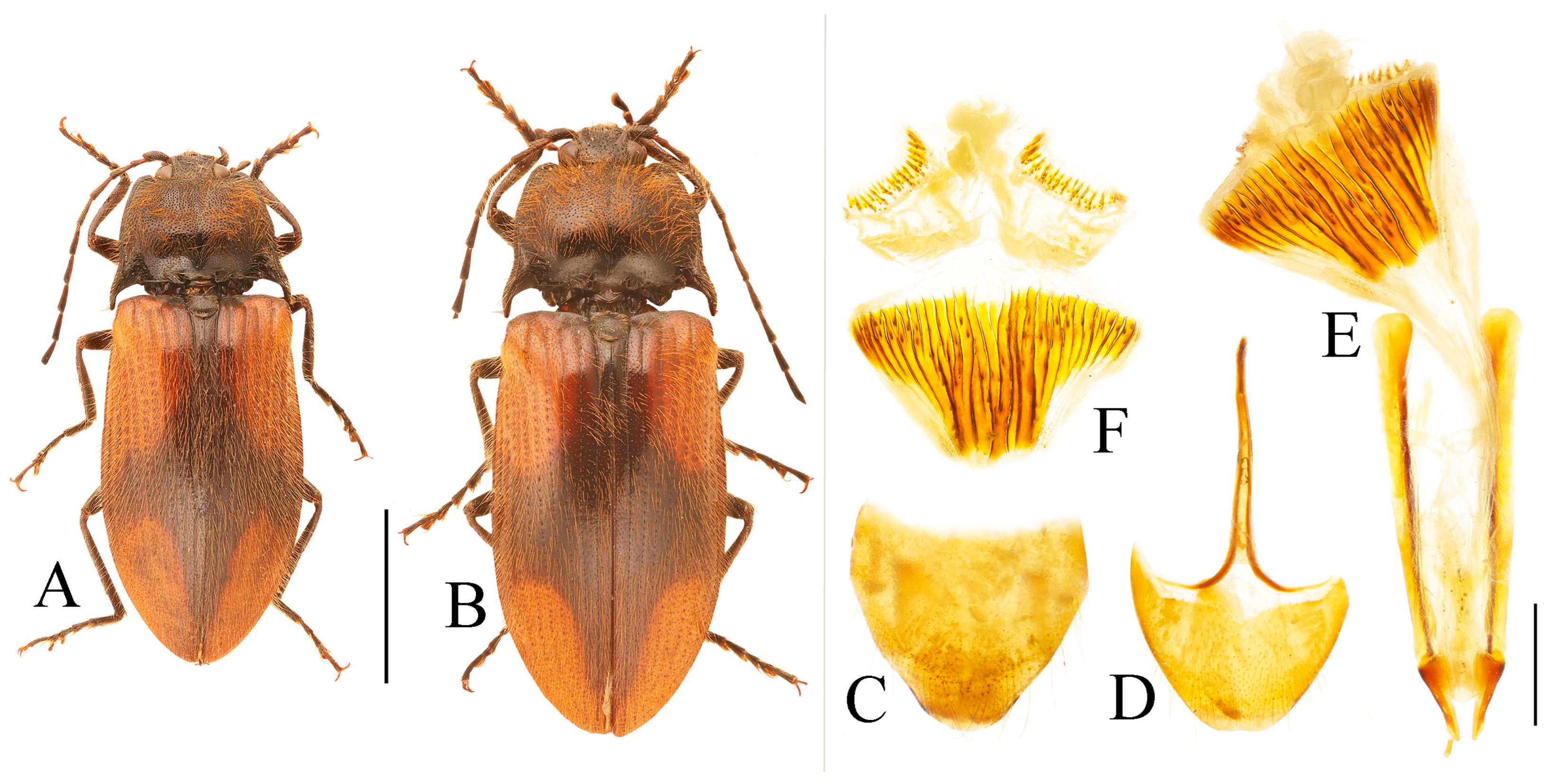 Insects 16 01003 g030