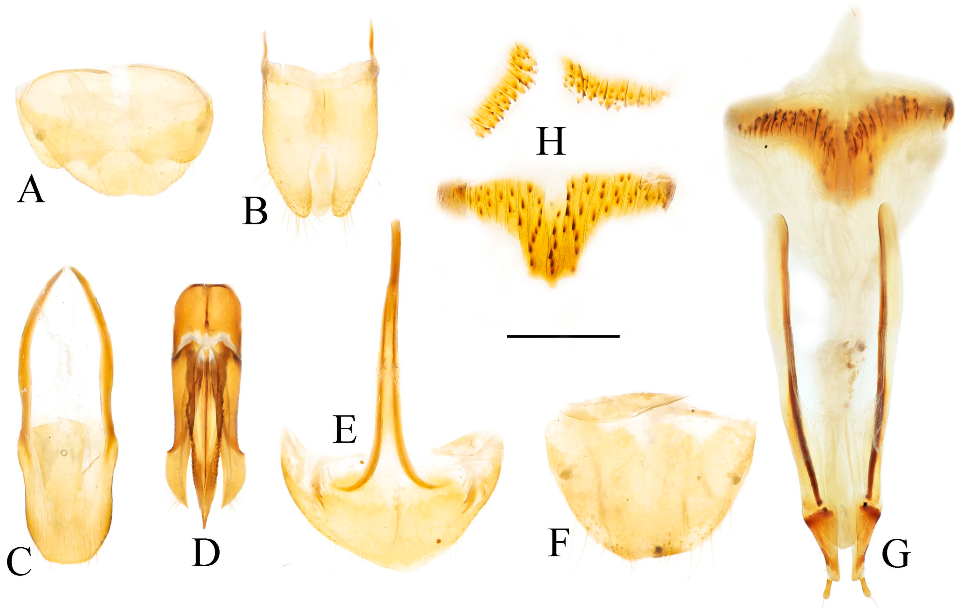 Insects 16 01003 g034