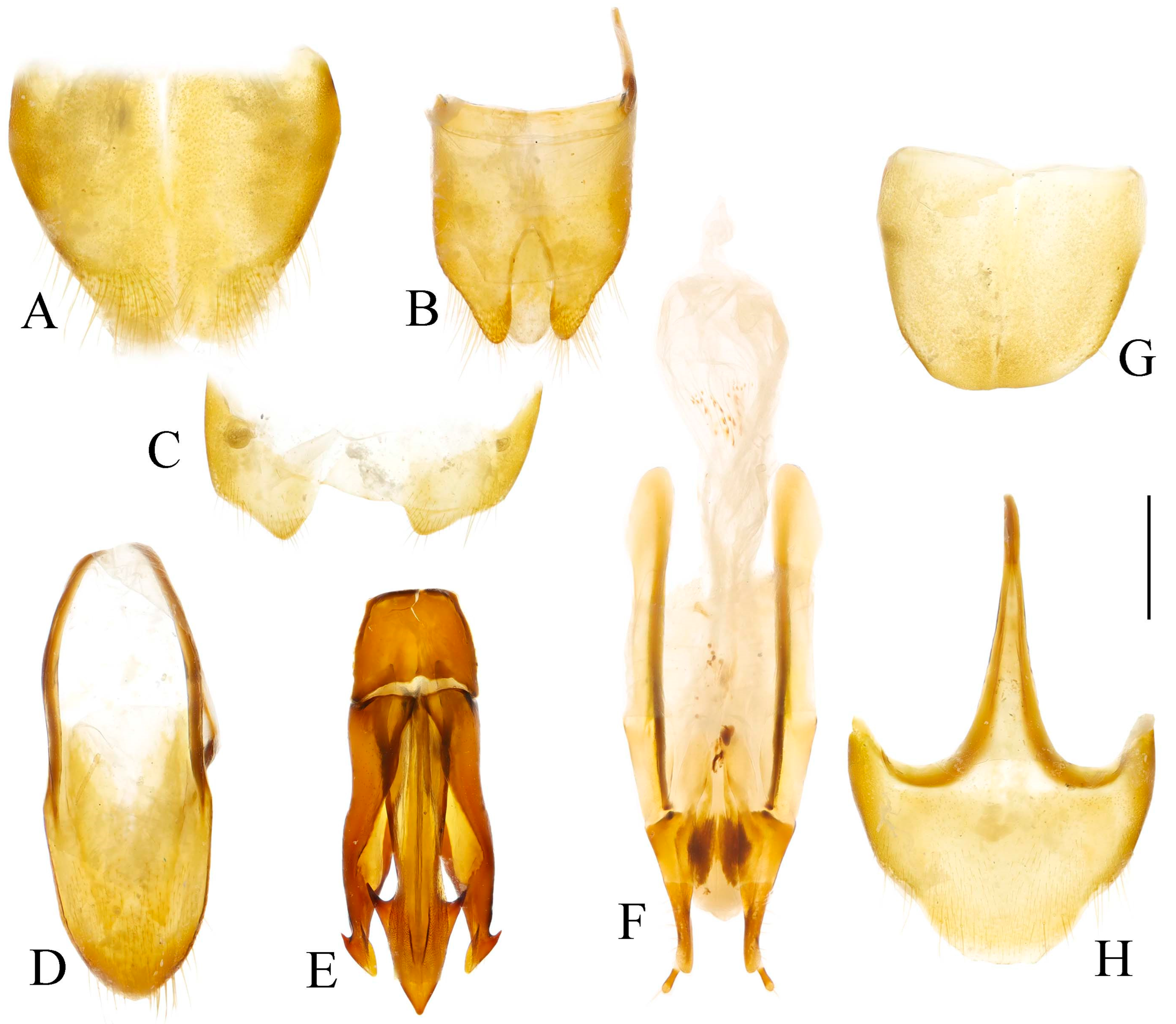 Insects 16 01003 g037