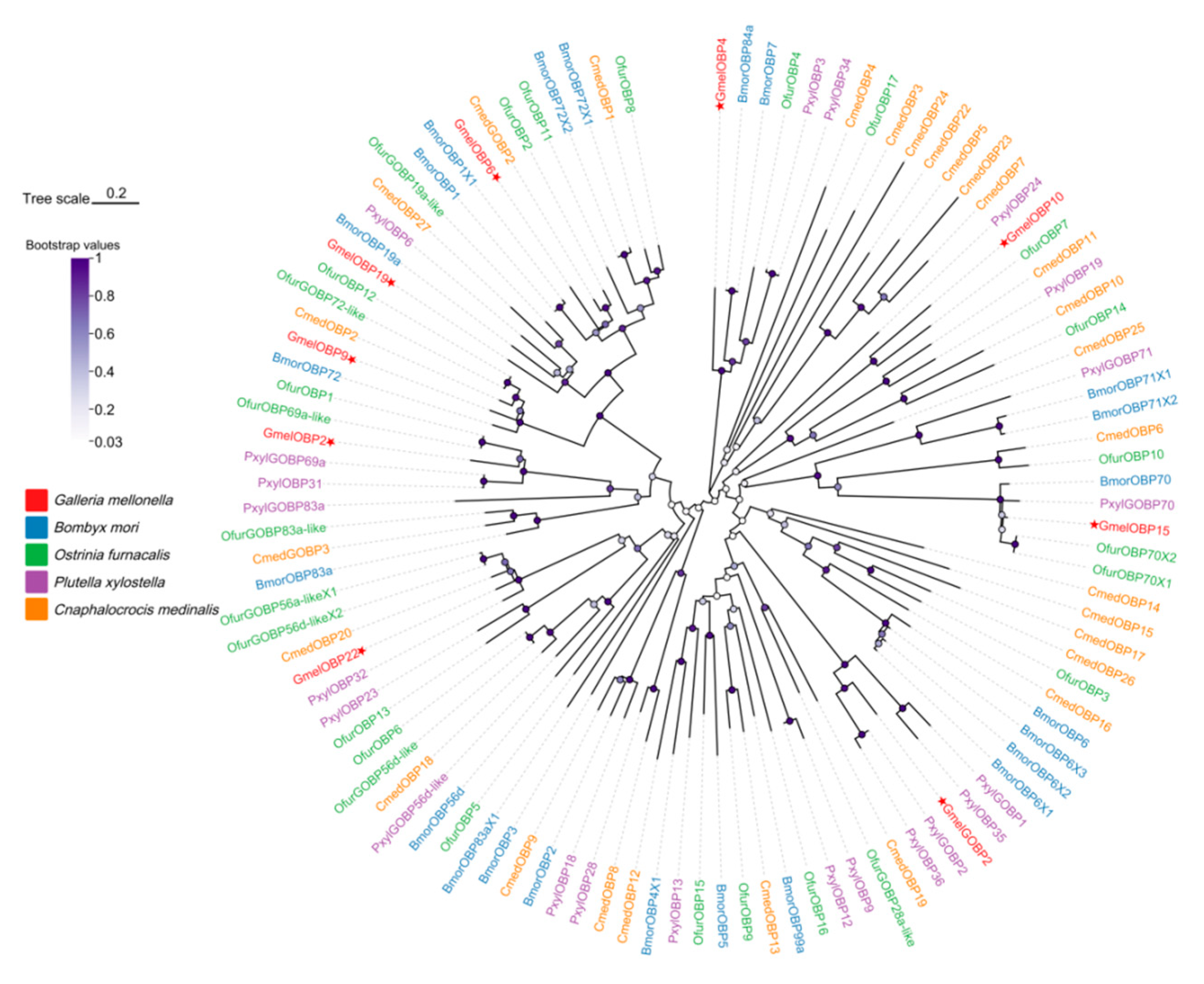 Insects 16 01004 g003