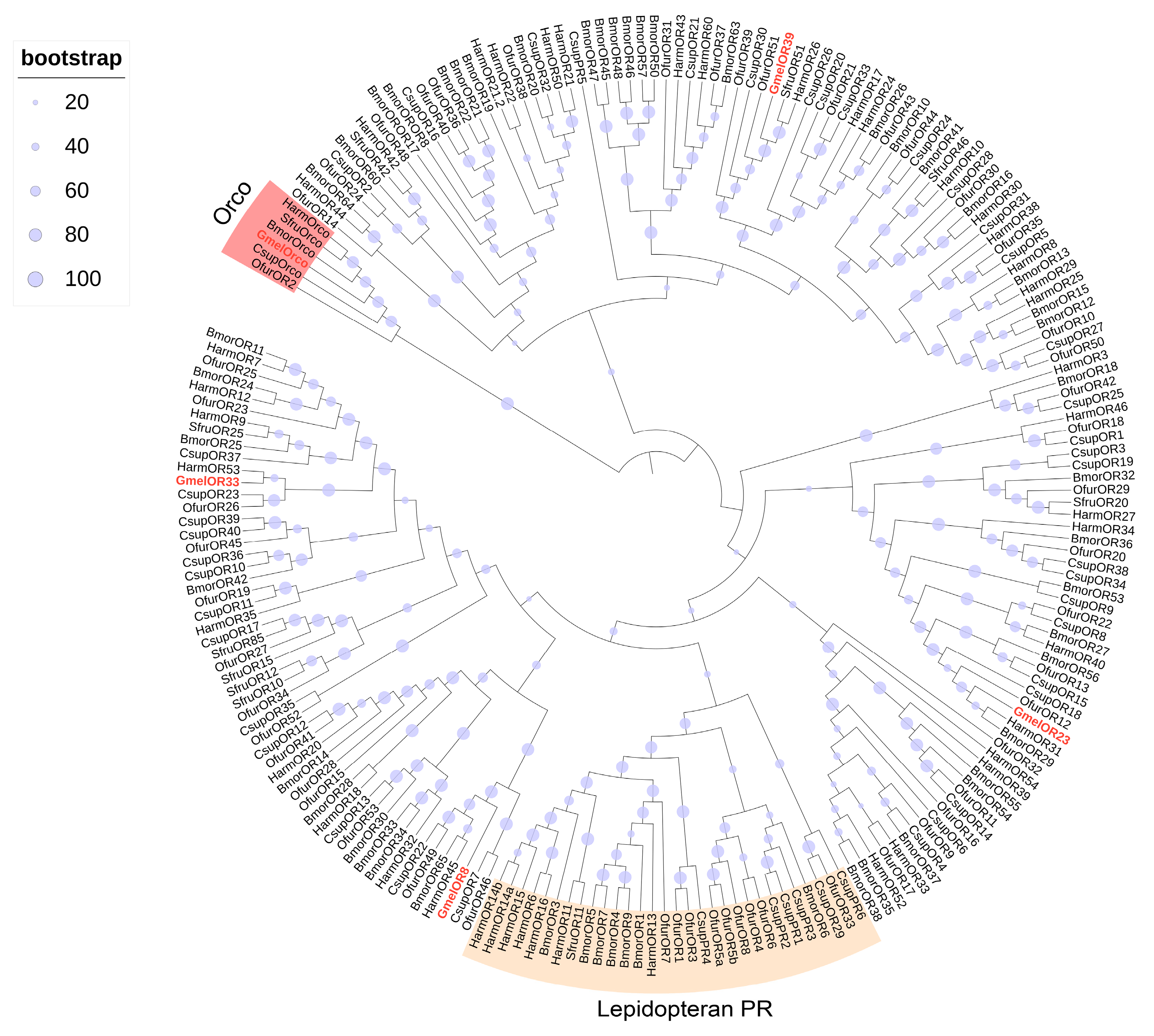Insects 16 01004 g006