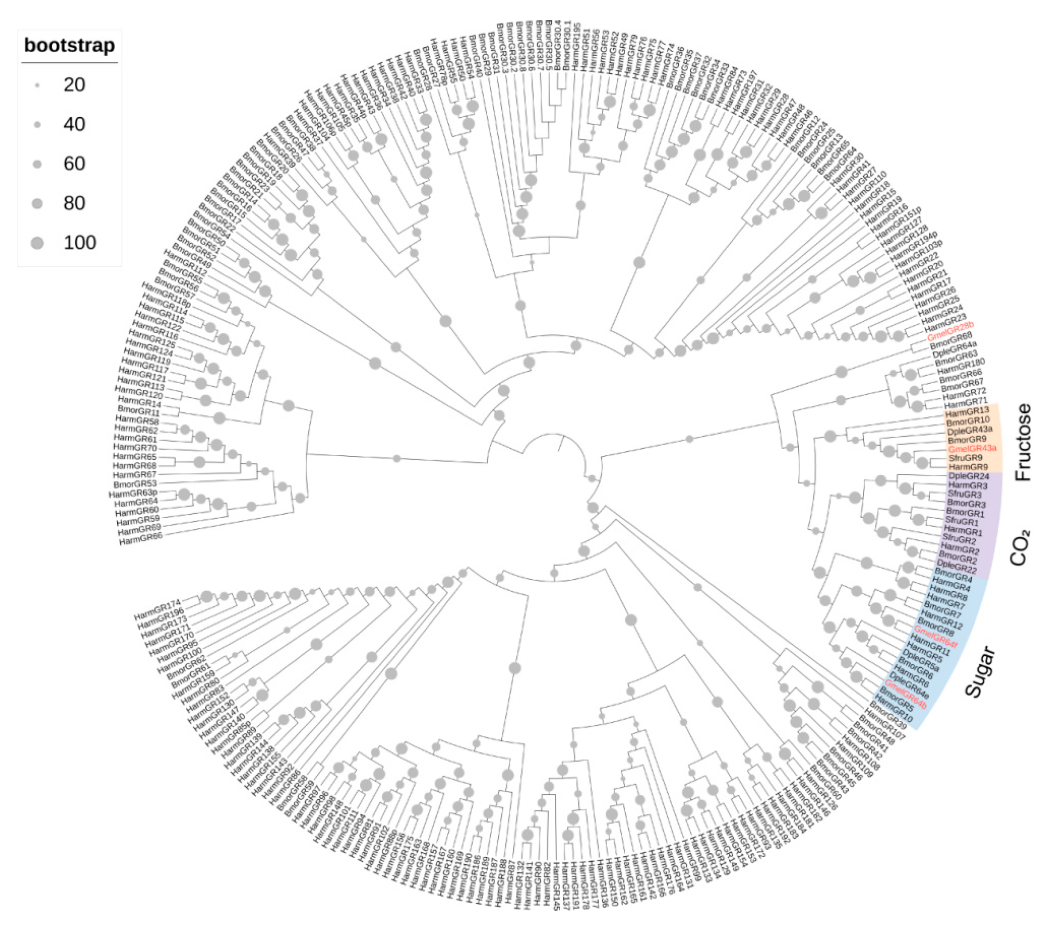 Insects 16 01004 g008