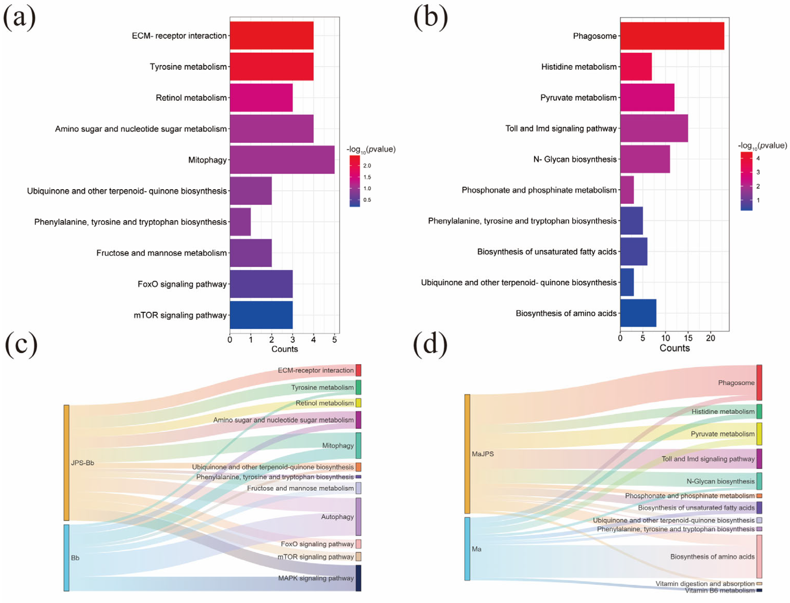 Insects 16 01006 g002 Insects 16 01006 g002