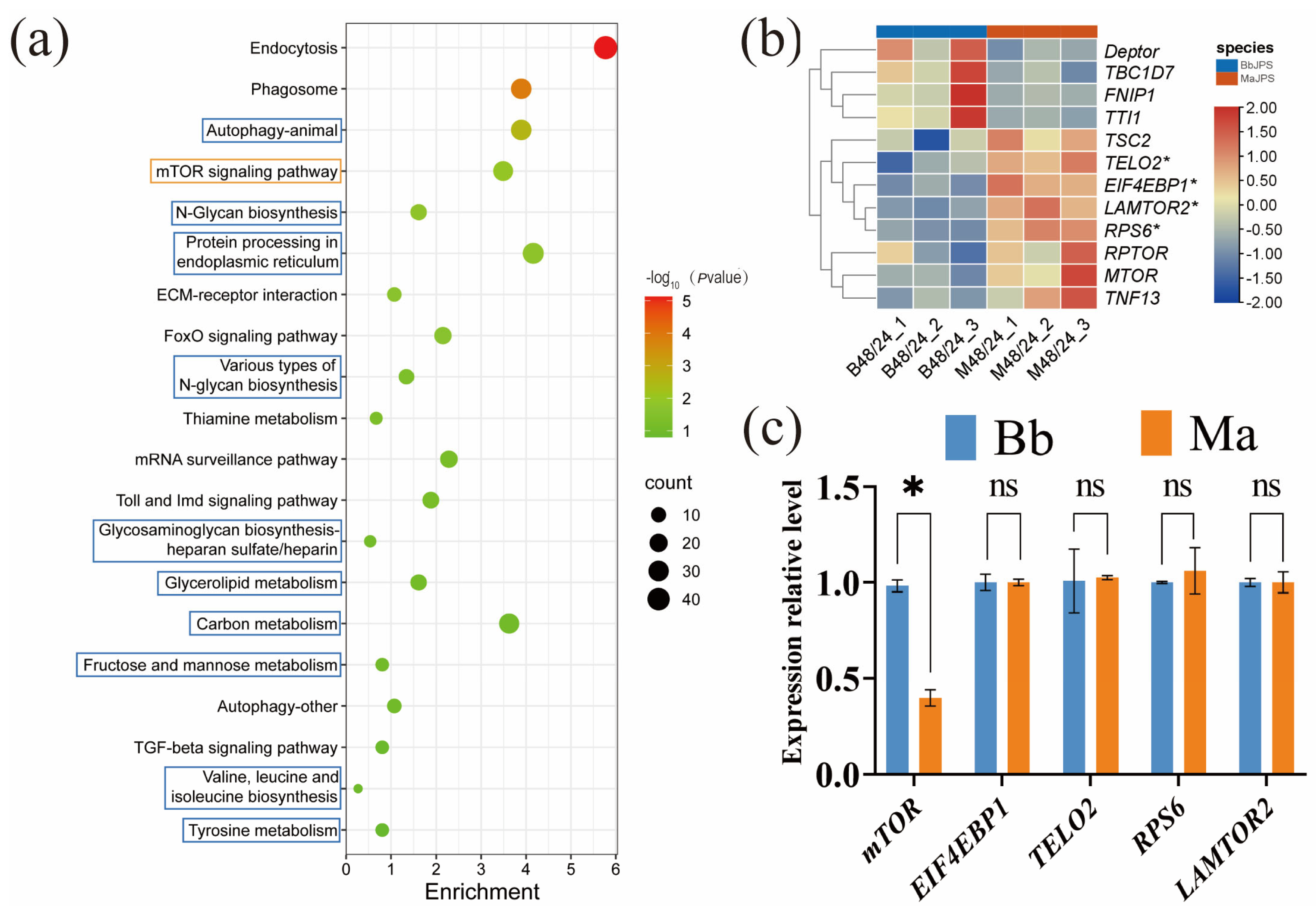 Insects 16 01006 g004 Insects 16 01006 g004