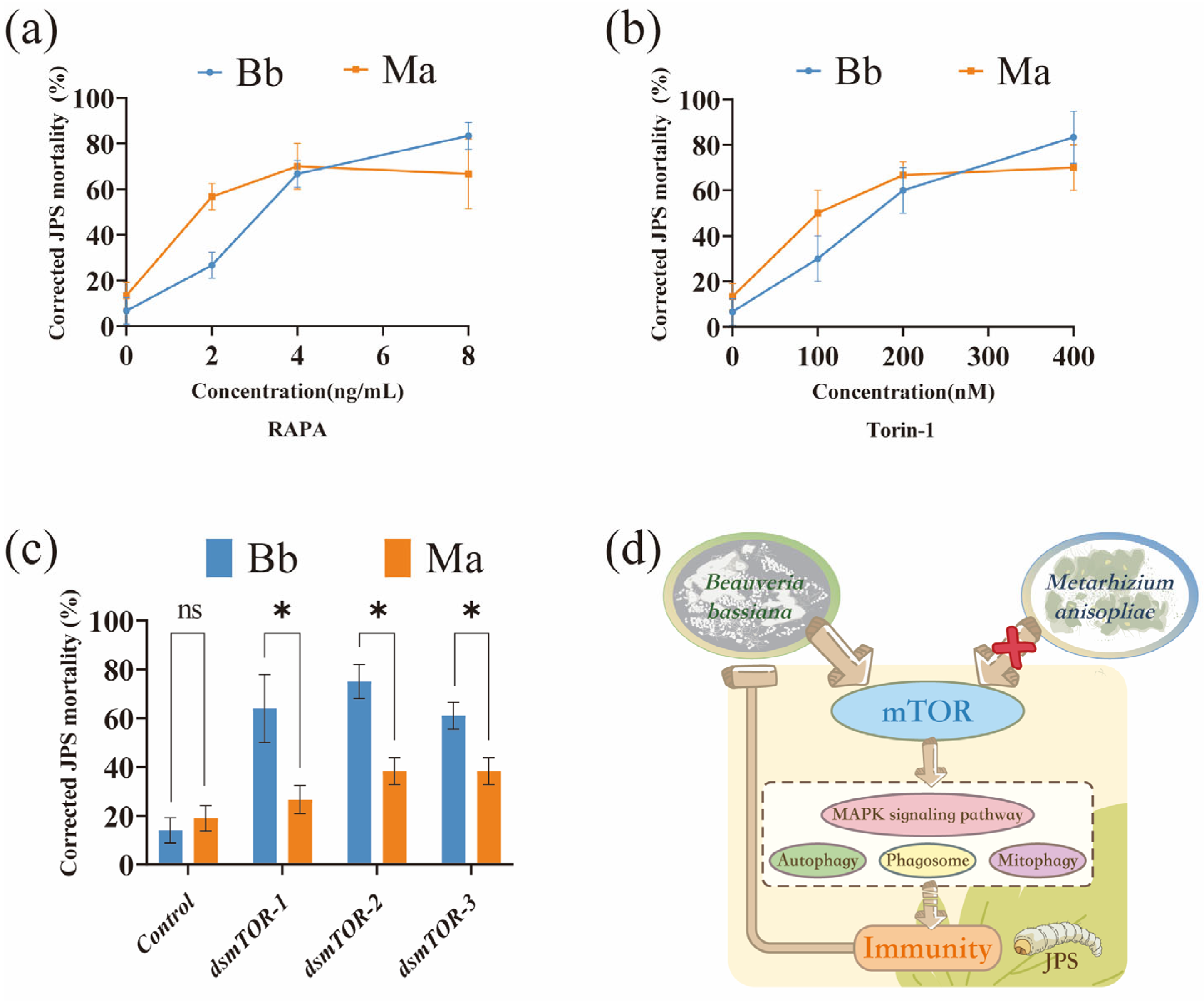 Insects 16 01006 g005 Insects 16 01006 g005