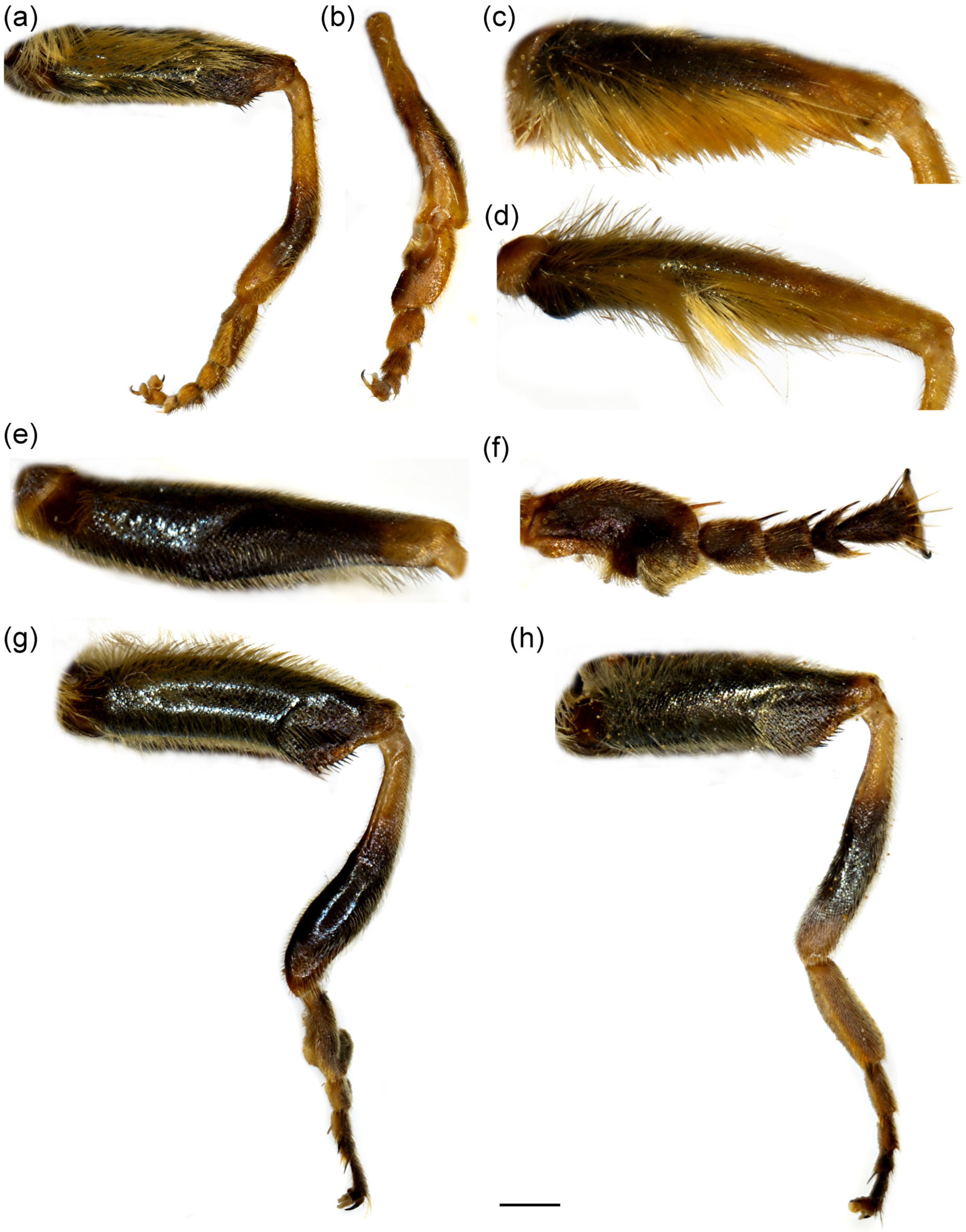 Insects 16 01009 g003