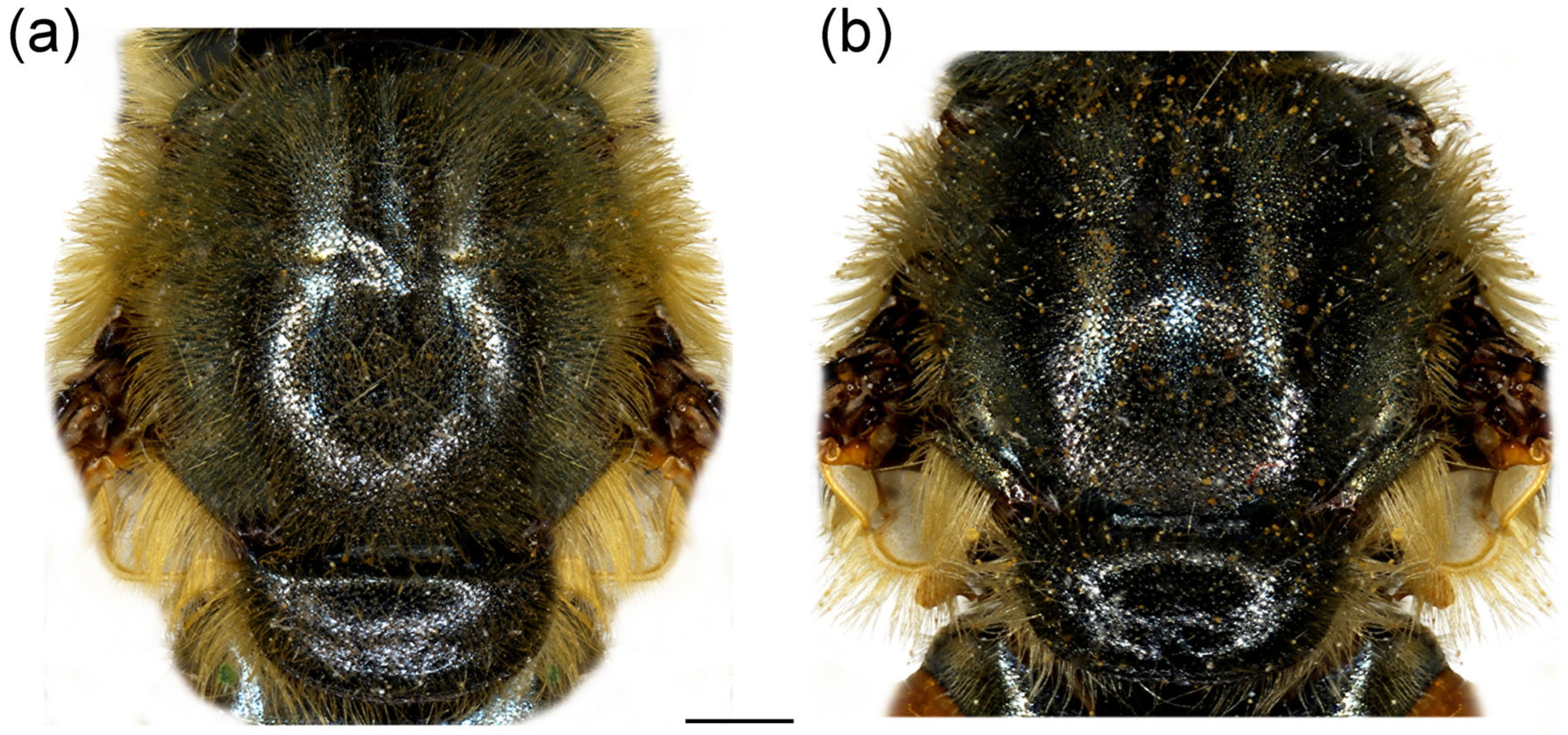 Insects 16 01009 g008