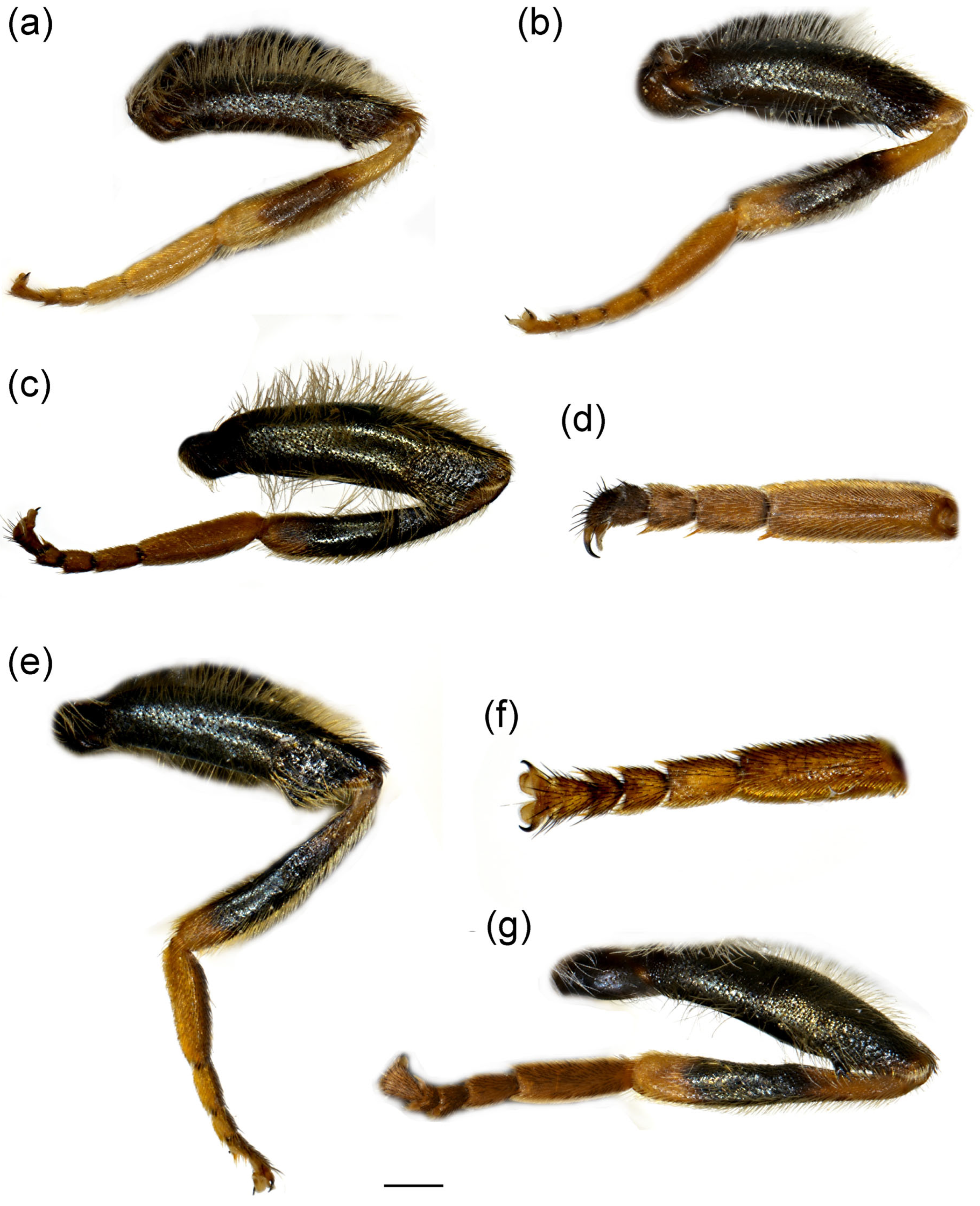 Insects 16 01009 g012