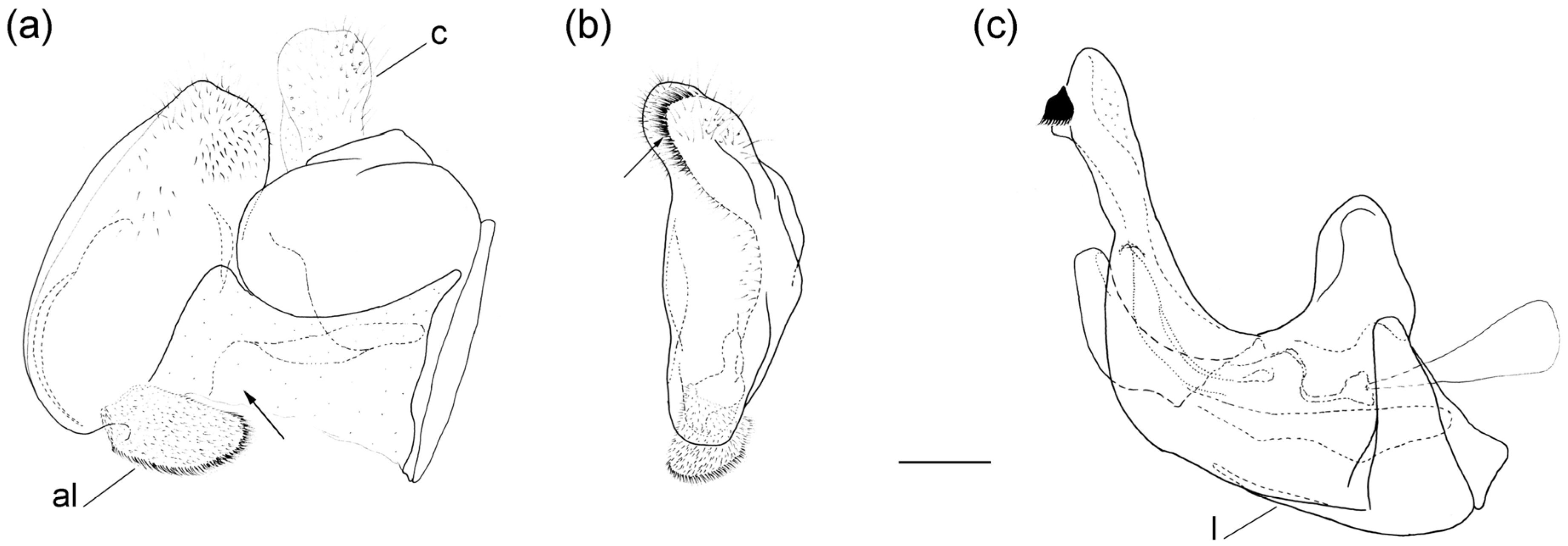 Insects 16 01009 g013