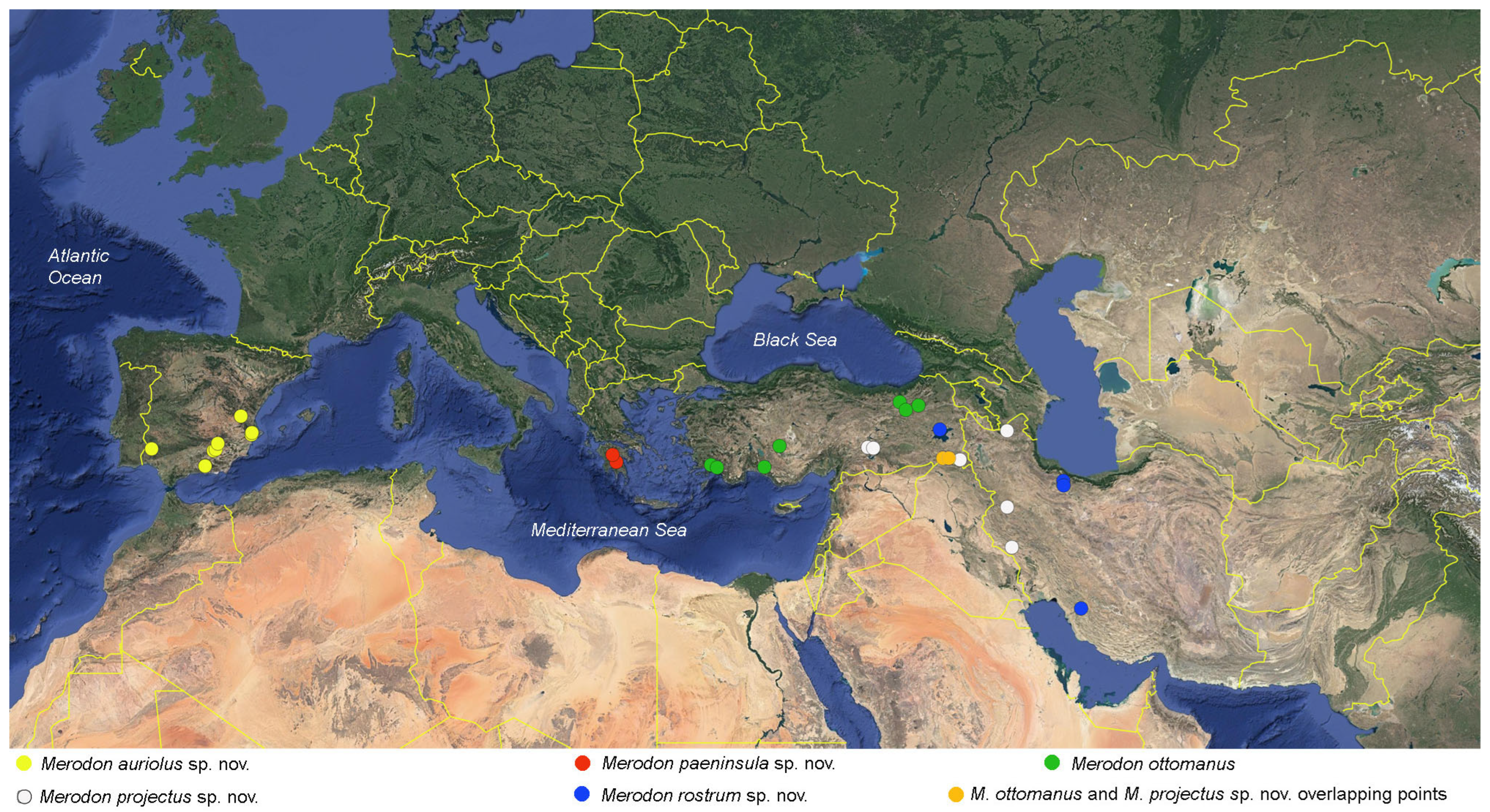 Insects 16 01009 g016