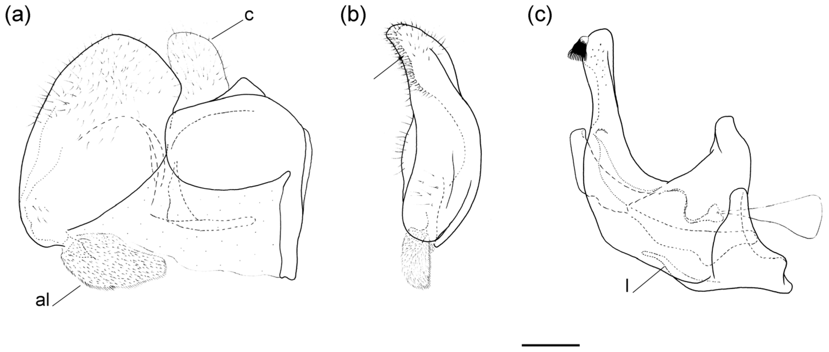 Insects 16 01009 g017