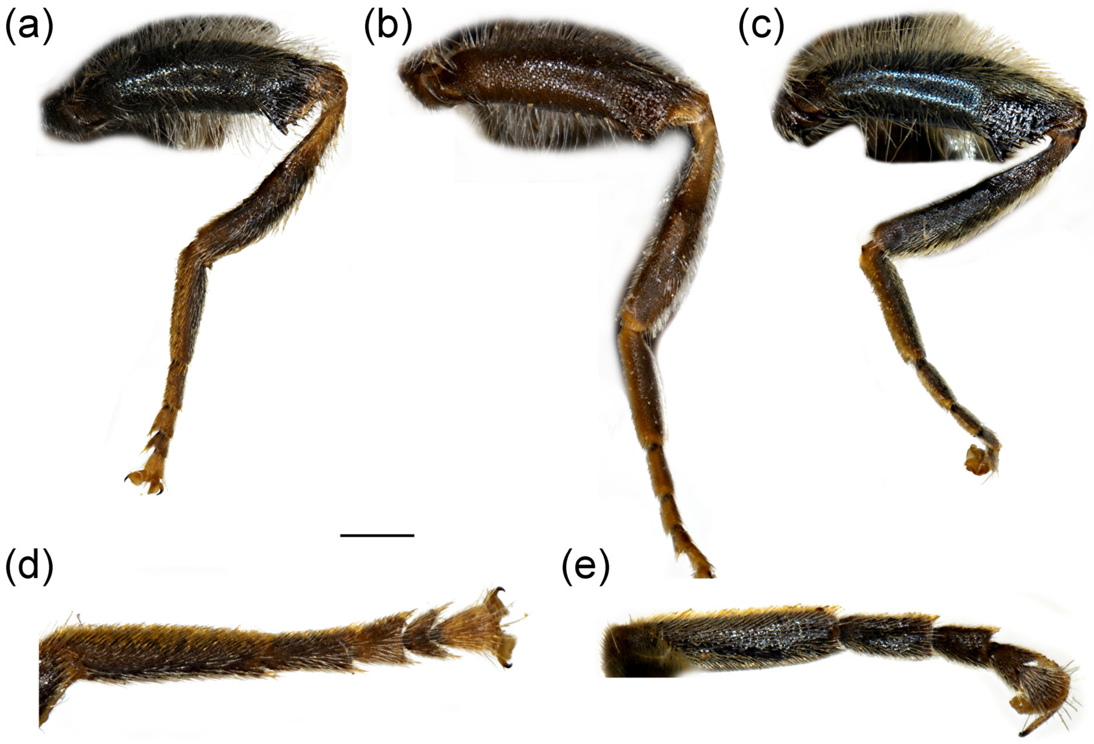 Insects 16 01009 g020