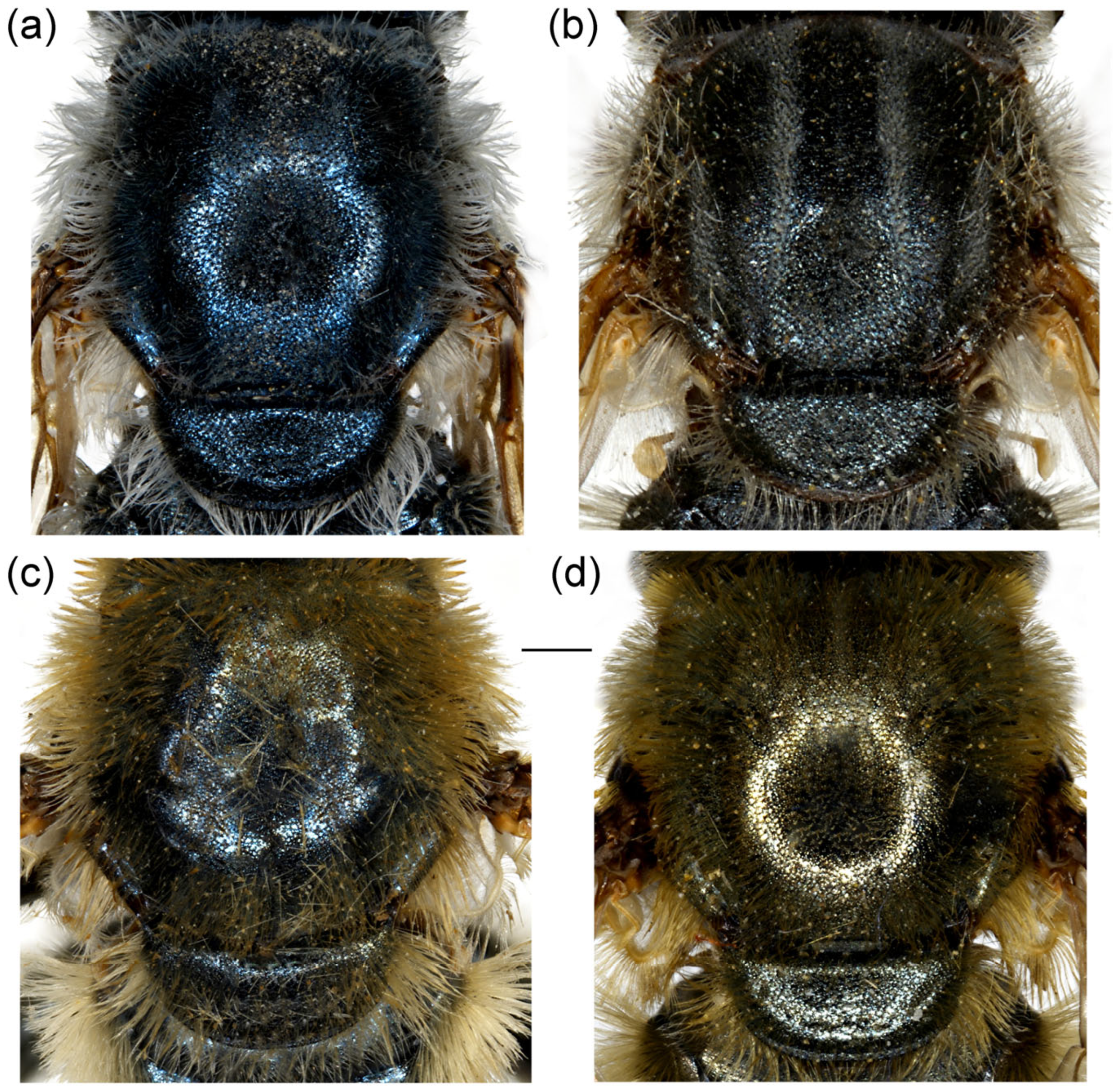 Insects 16 01009 g023