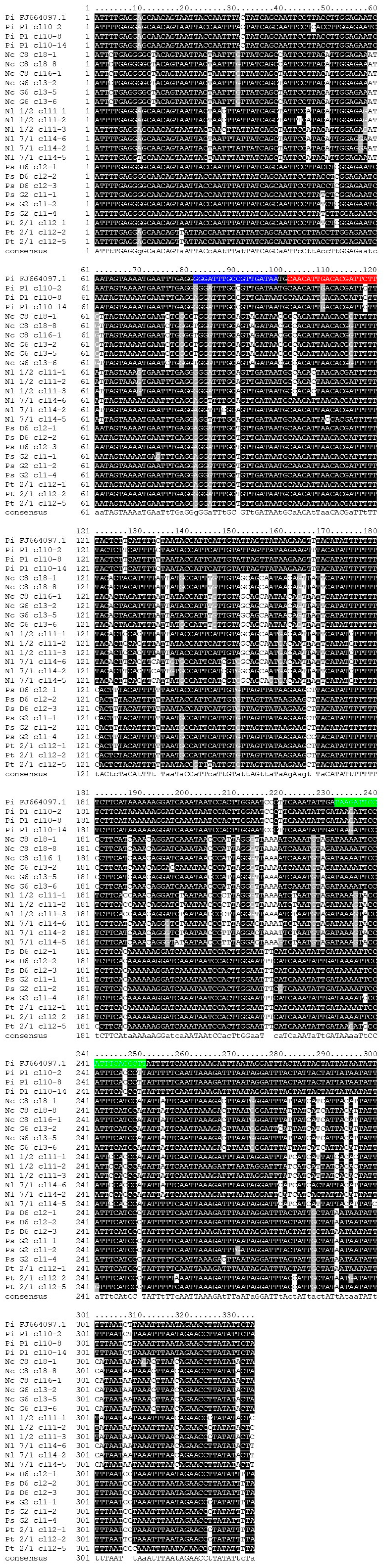 Insects 16 01014 g003 Insects 16 01014 g003