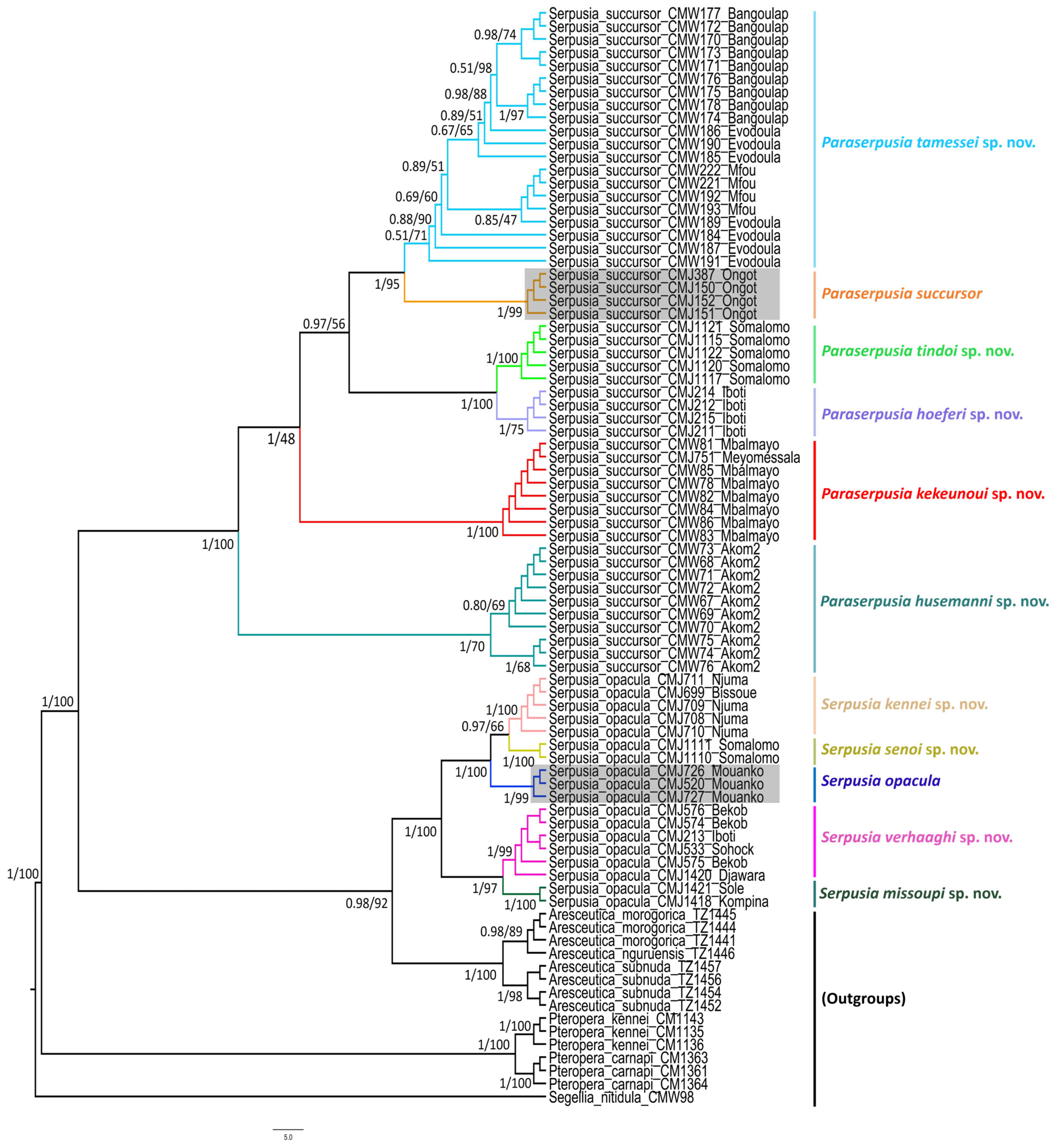Insects 16 01020 g001
