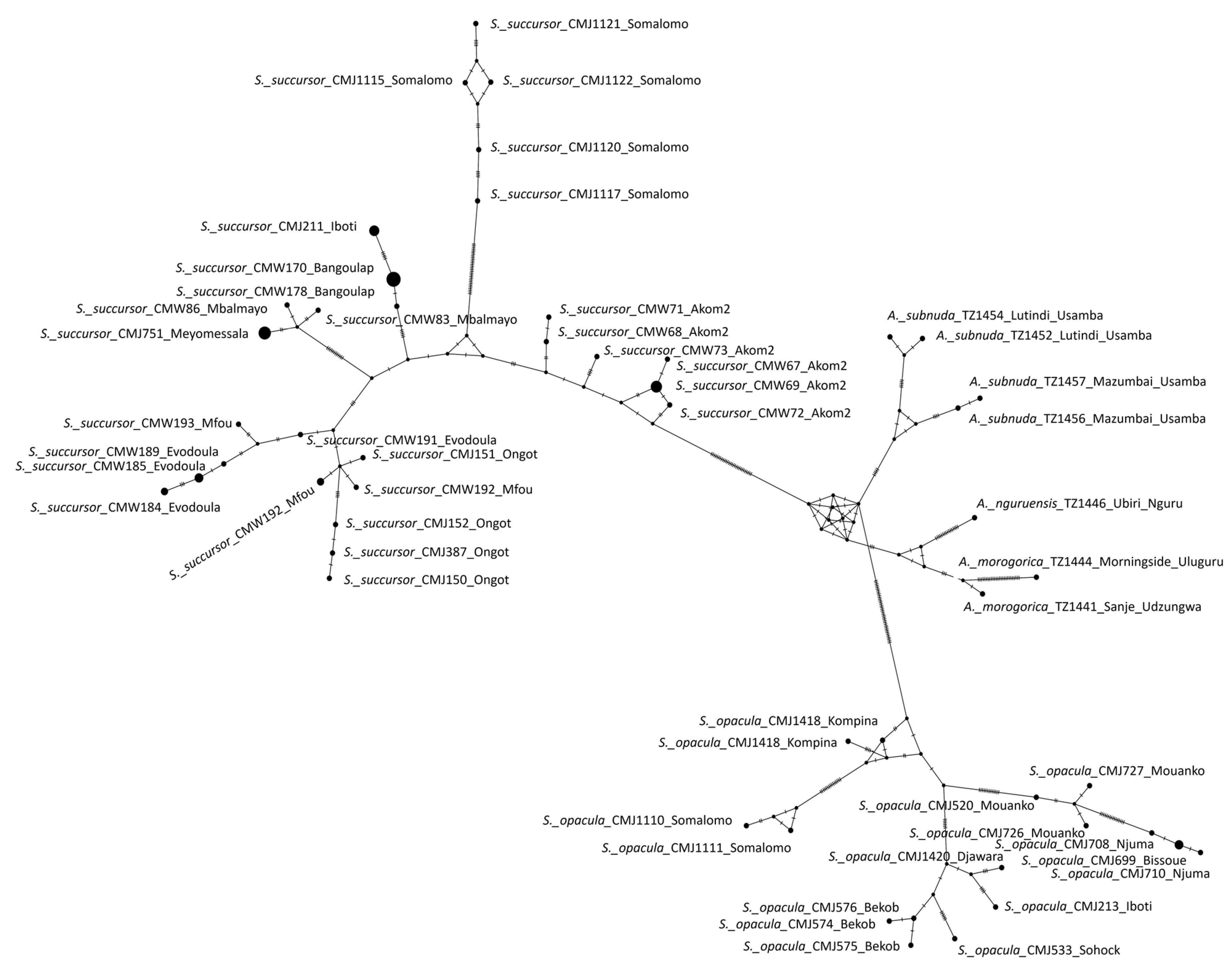 Insects 16 01020 g005