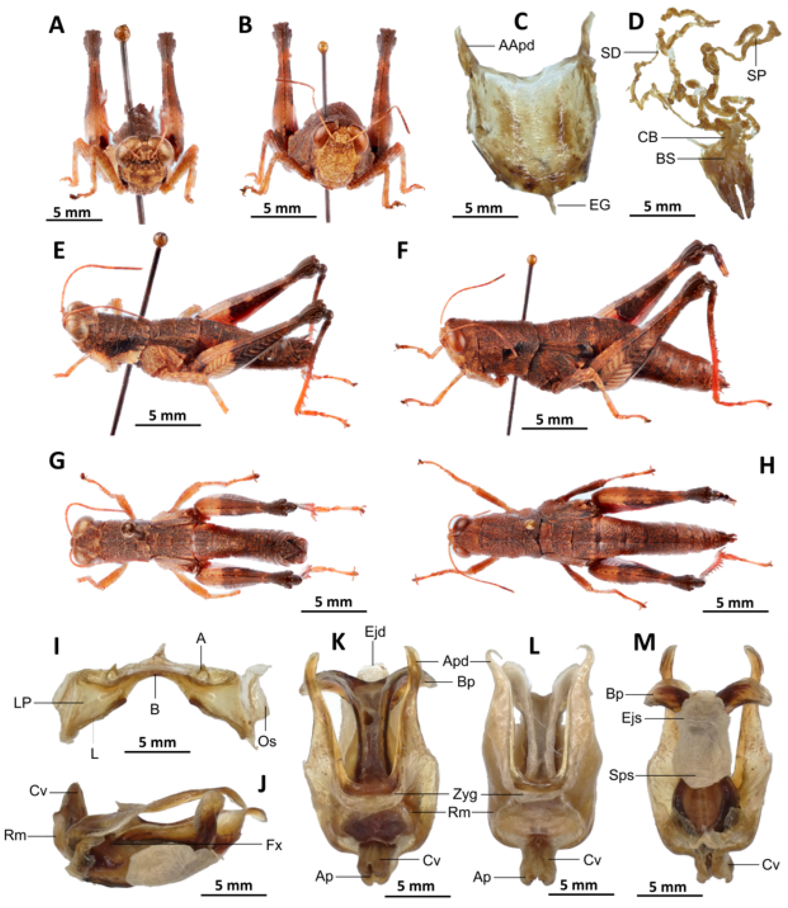 Insects 16 01020 g010