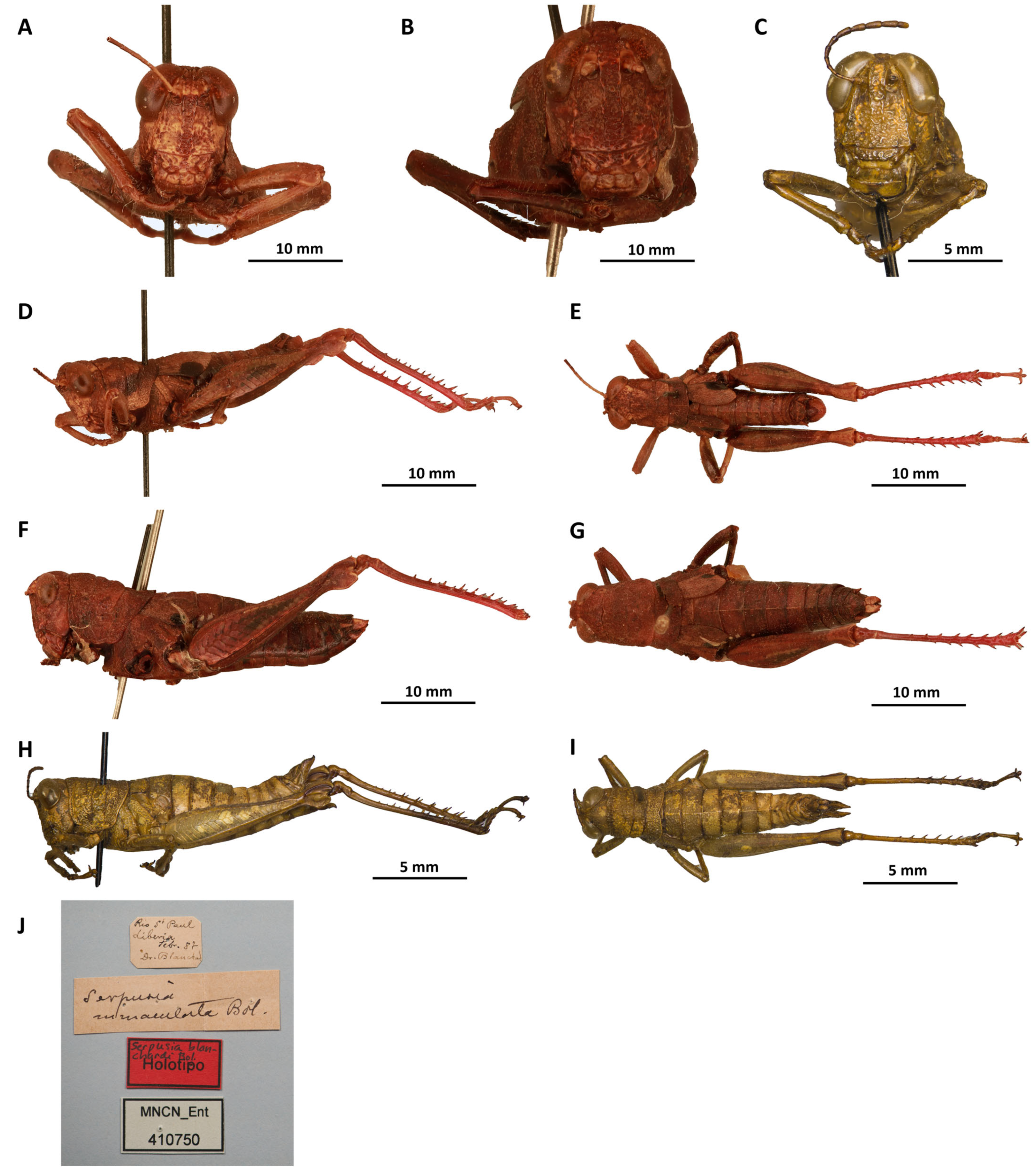 Insects 16 01020 g012