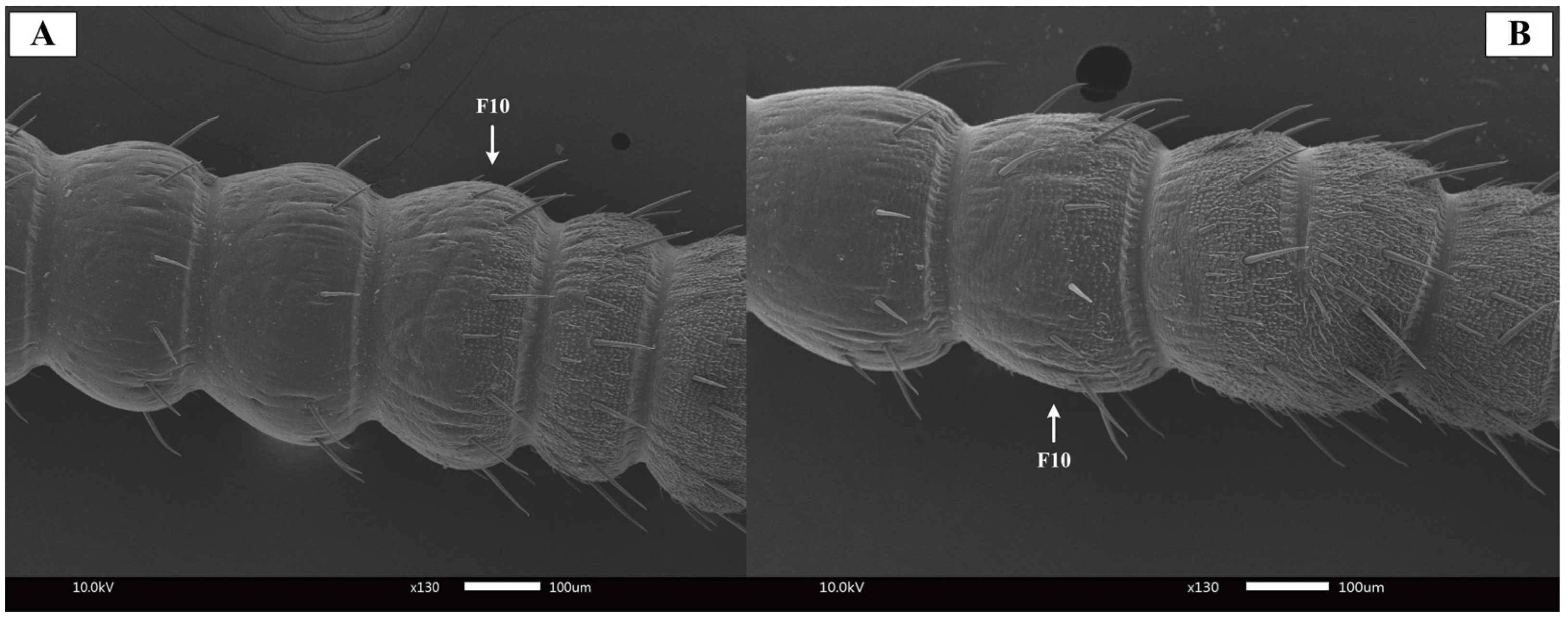 Insects 16 01024 g002