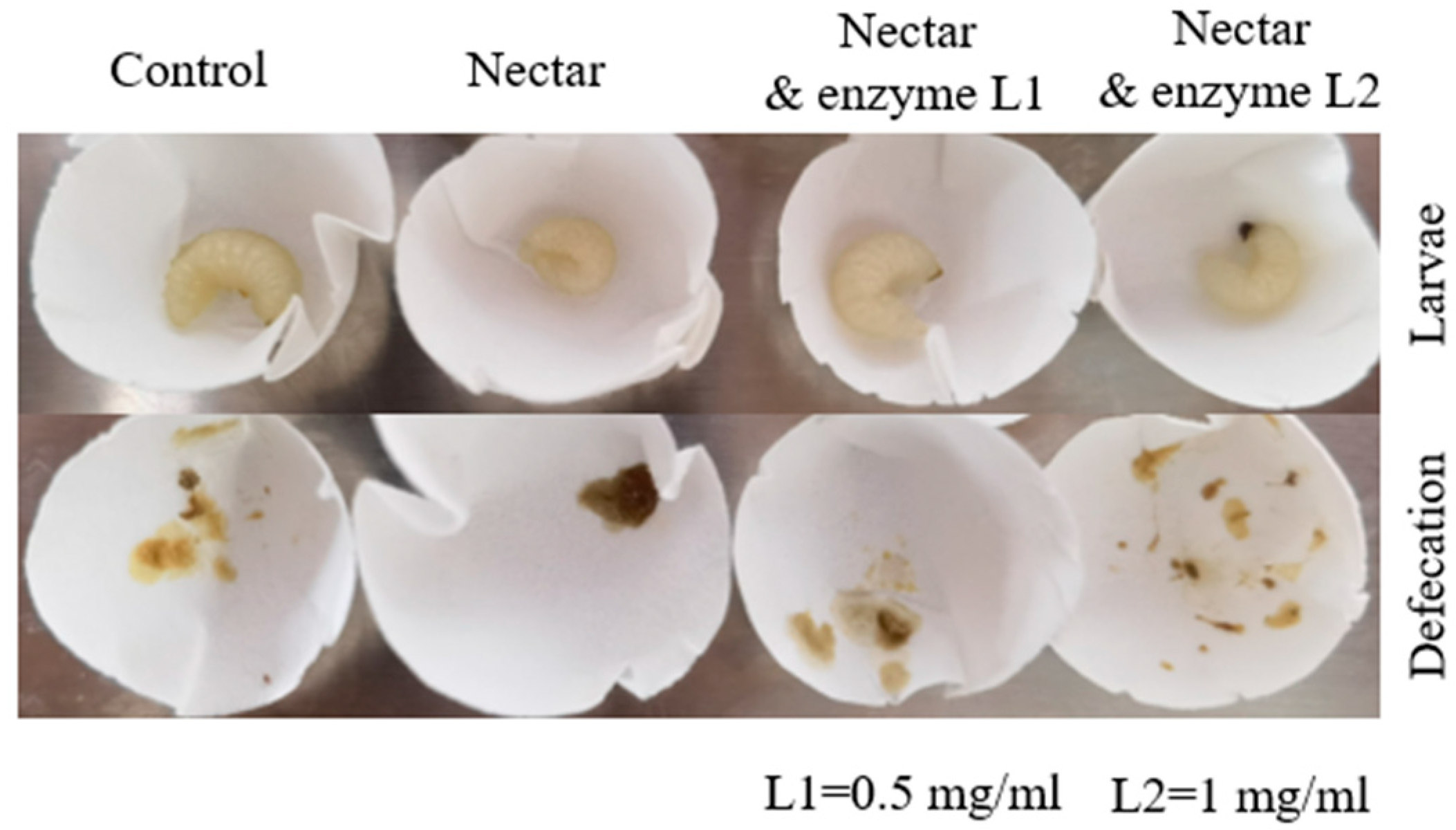 Insects 16 01028 g006