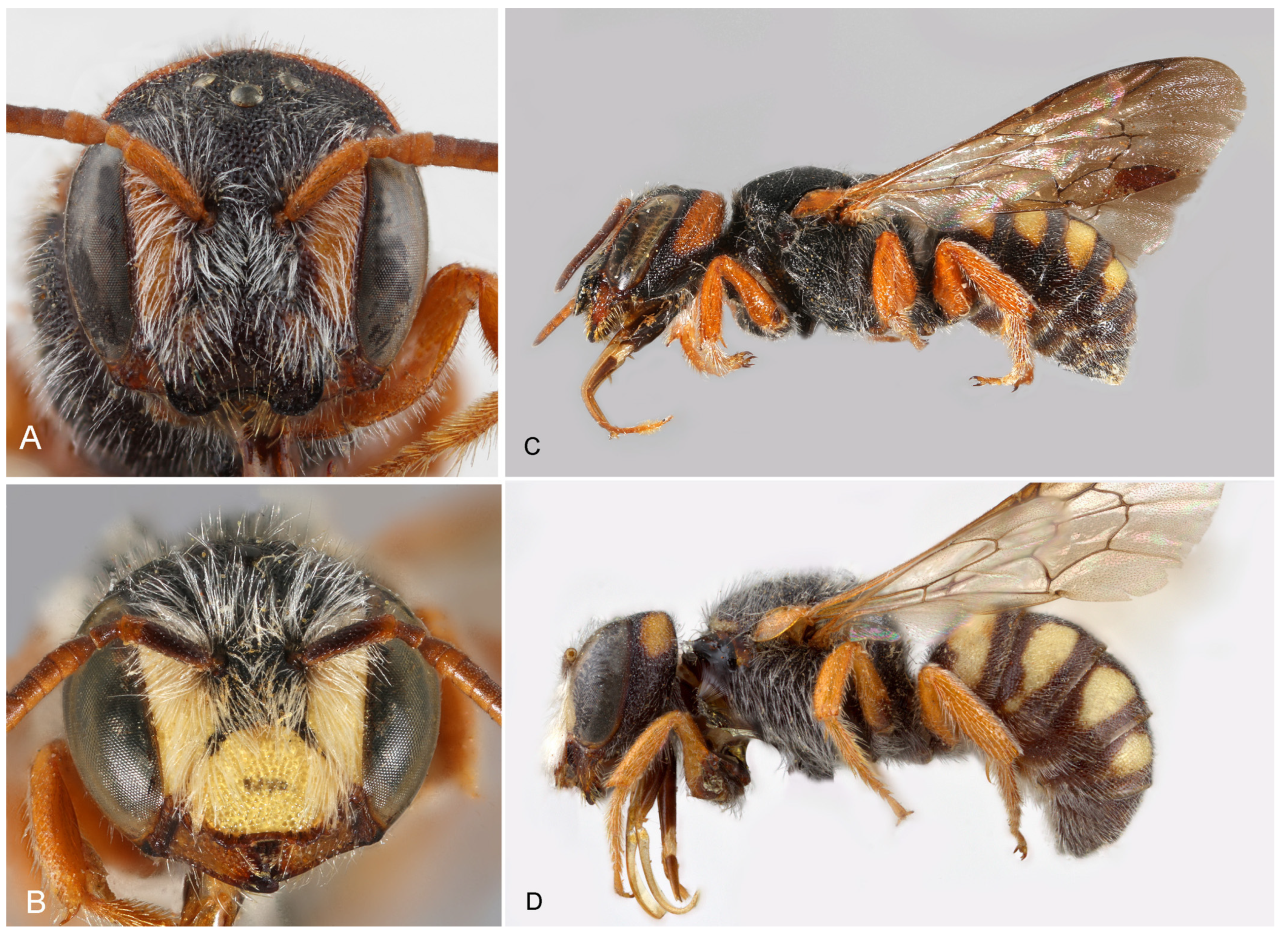 Insects 16 01030 g001 Insects 16 01030 g001