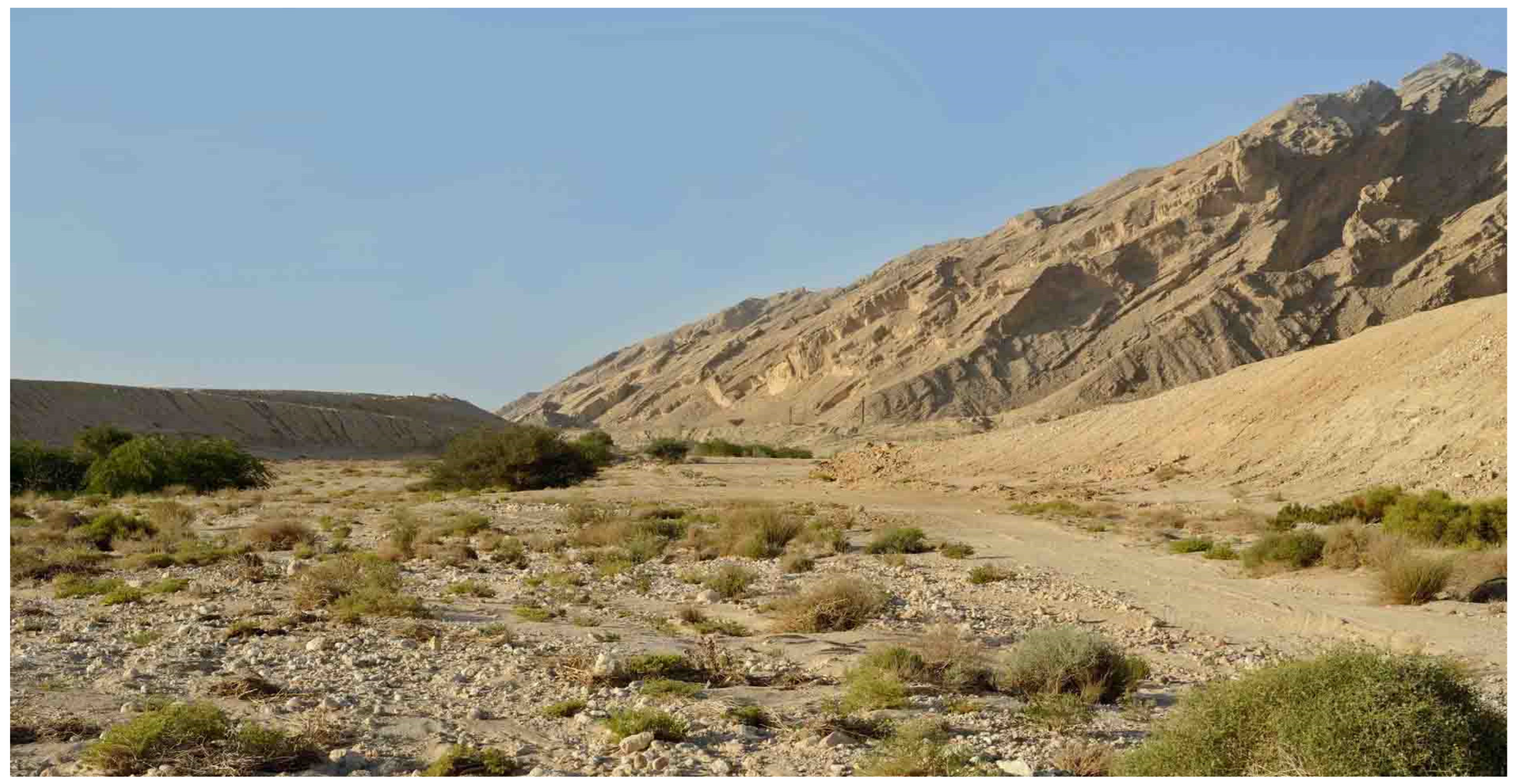 Insects 16 01030 g007 Insects 16 01030 g007