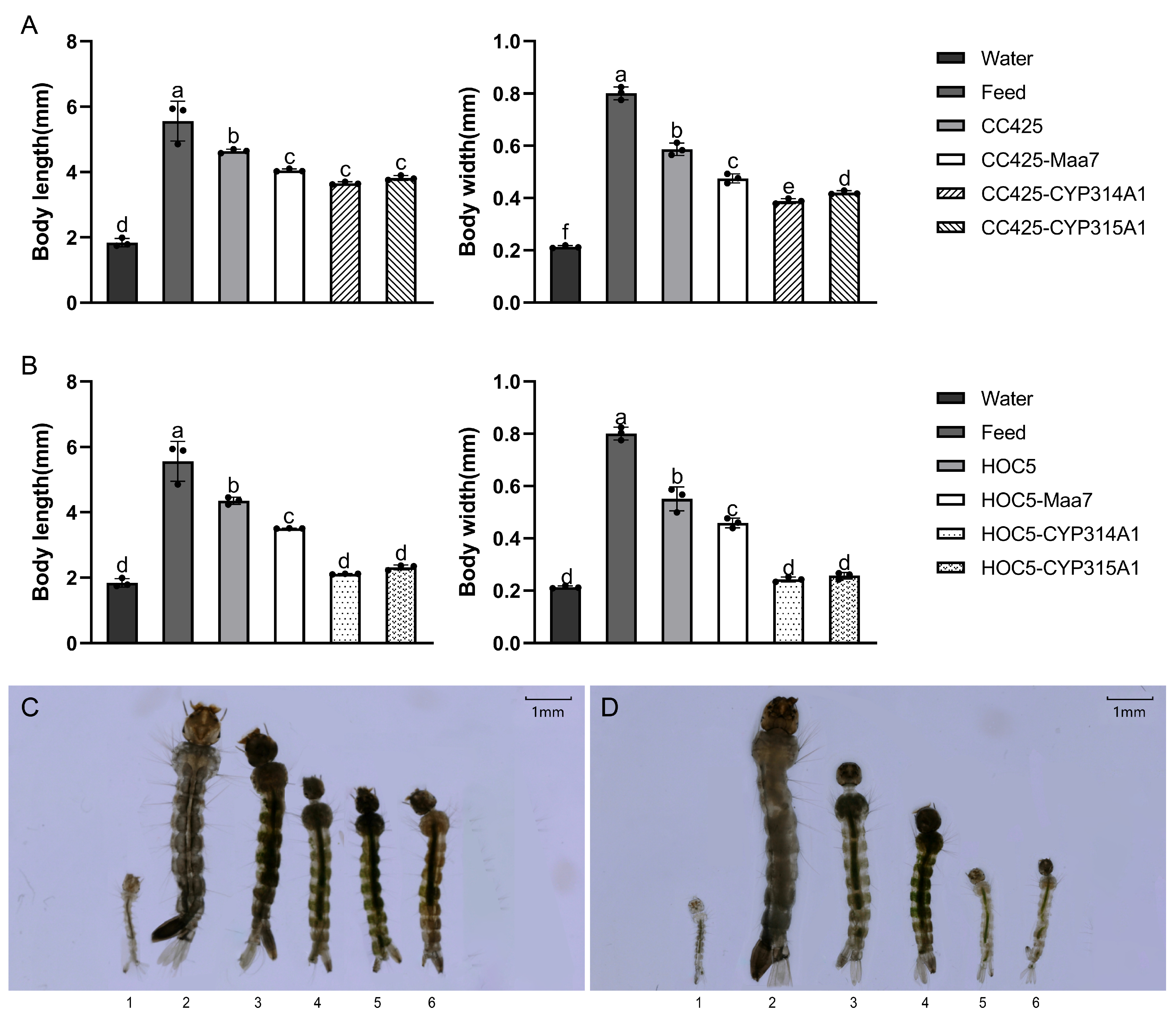 Insects 16 01033 g003
