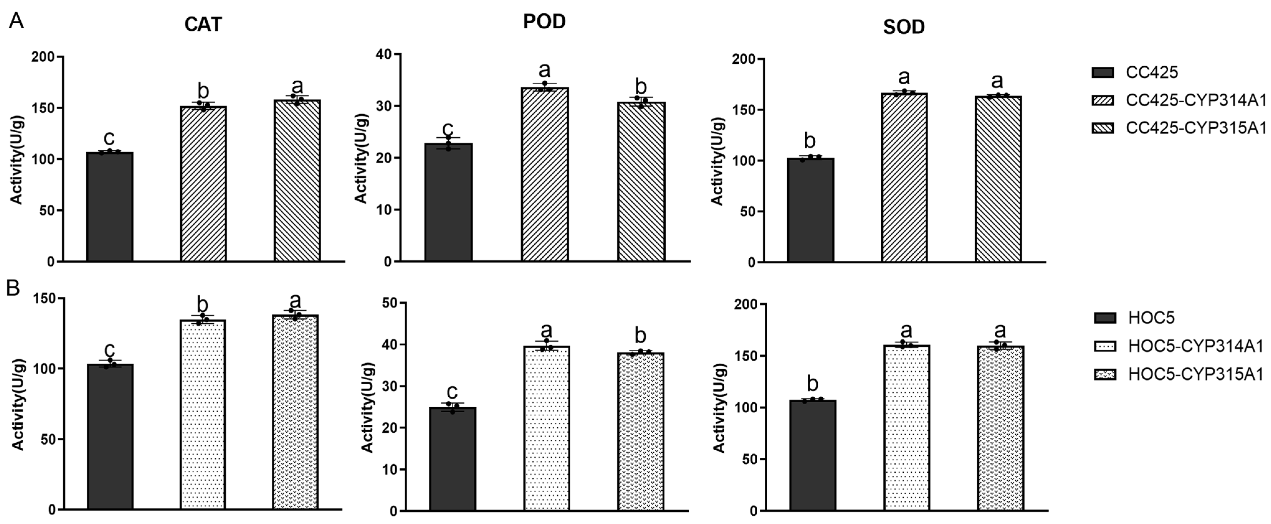 Insects 16 01033 g004