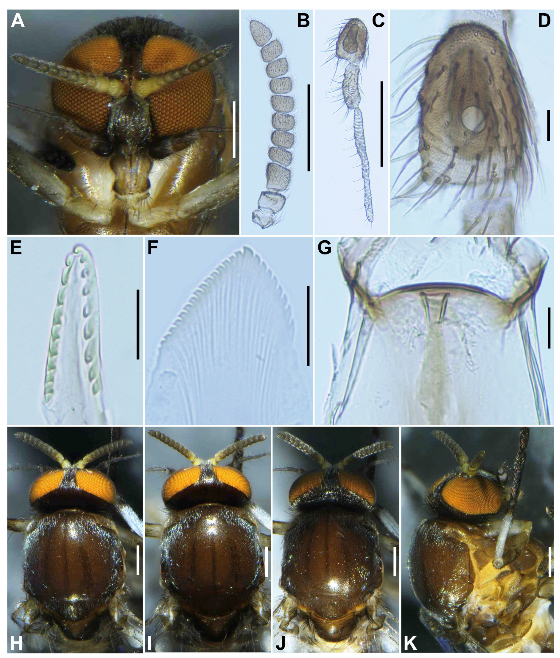 Insects 16 01034 g001